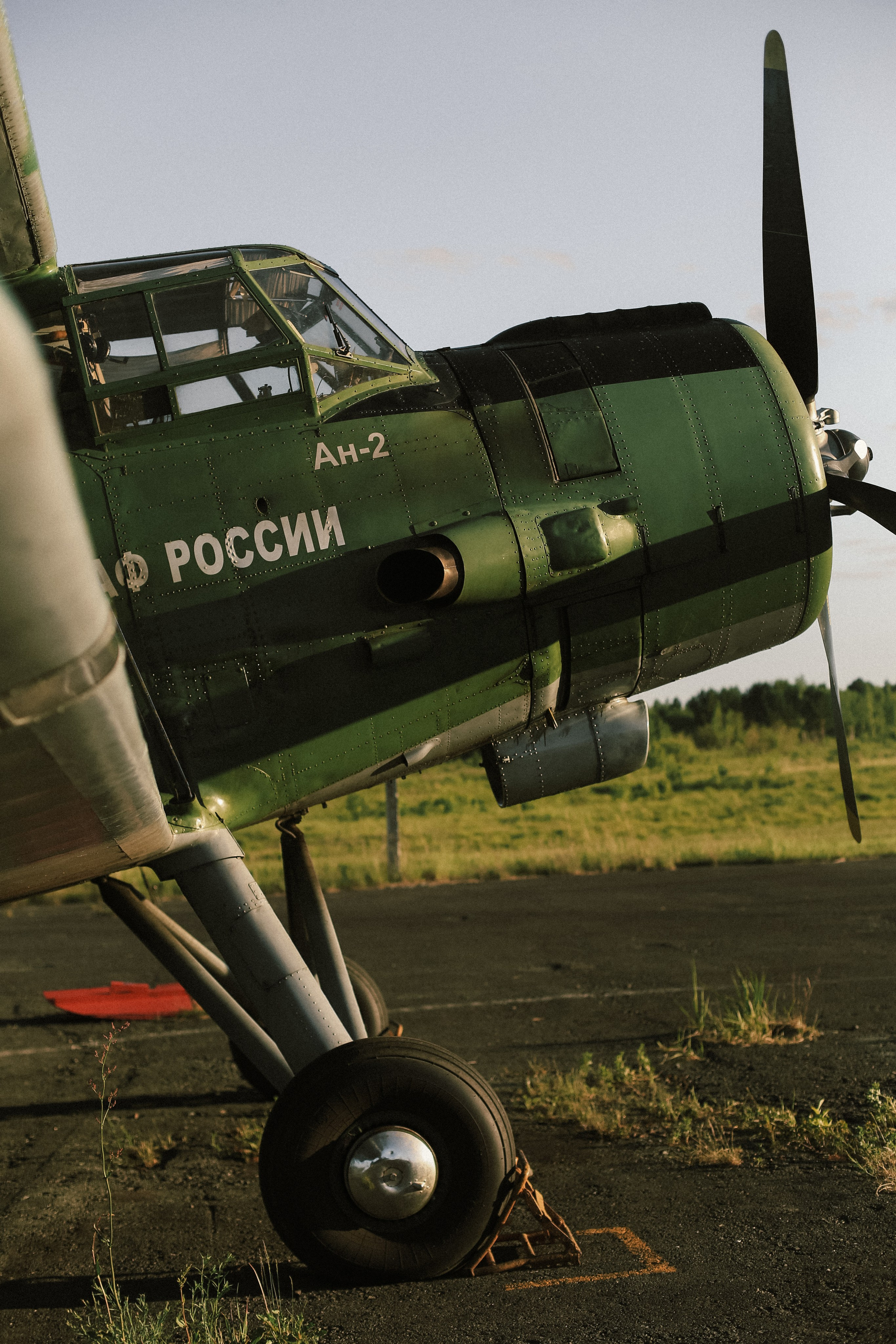 Алена и Андрей. Фотограф Перевозкина Анна