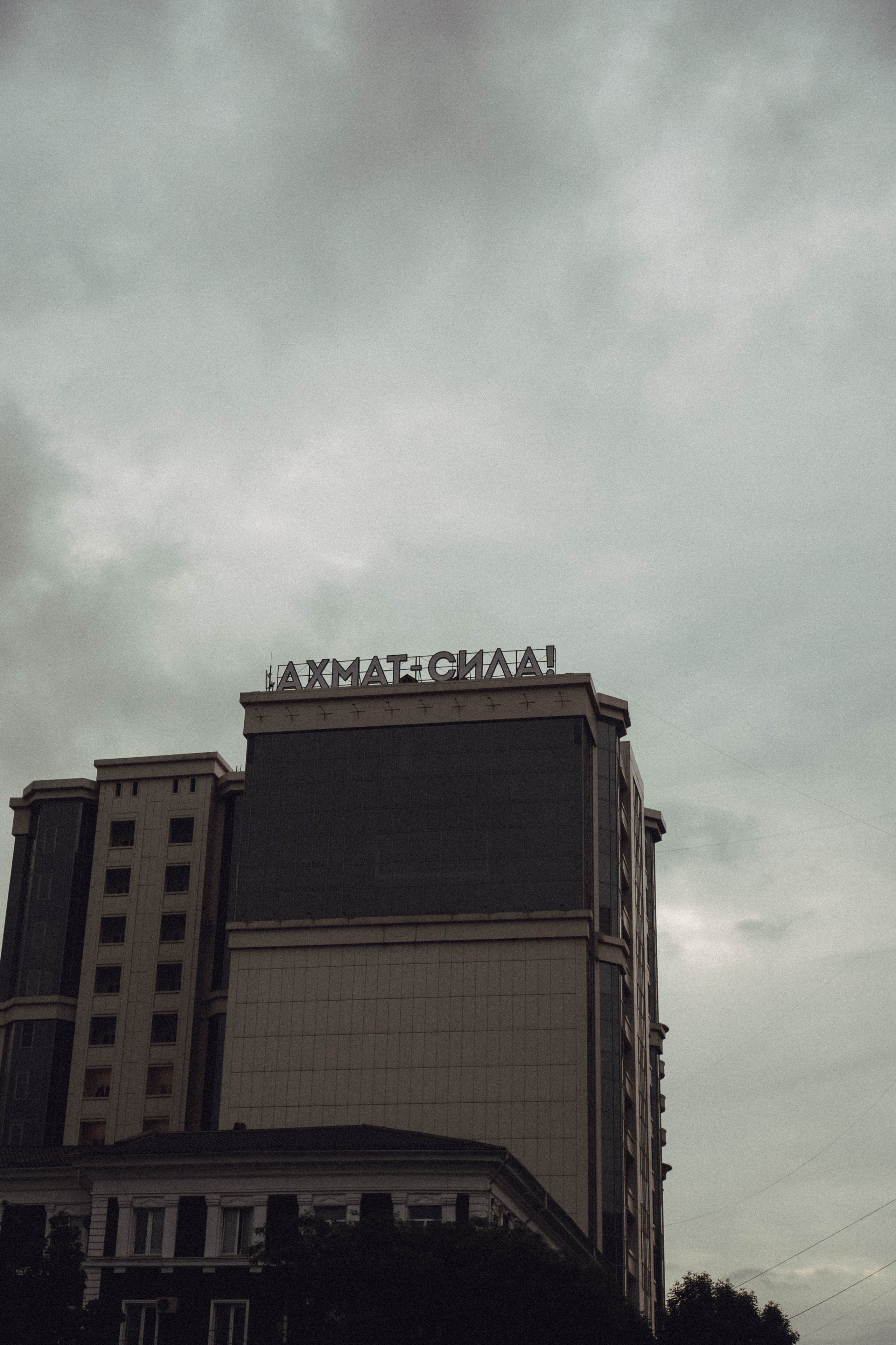 Кавказ. Профессиональный фотограф, Санкт-Петербург — Виктория Богомолова