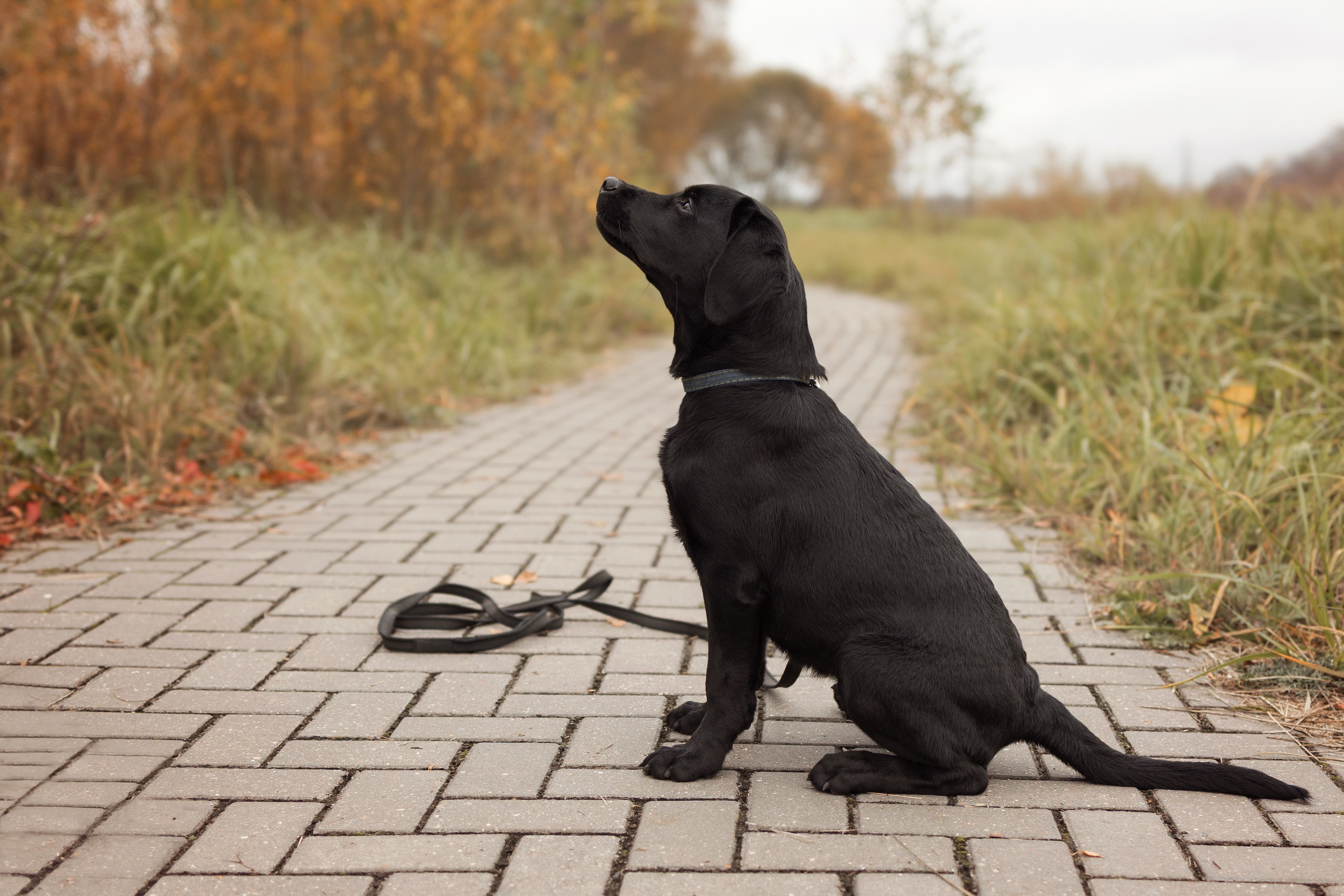 Анастасия и маленькая Юна. Фотограф — Анималист Наталья Тямушева
