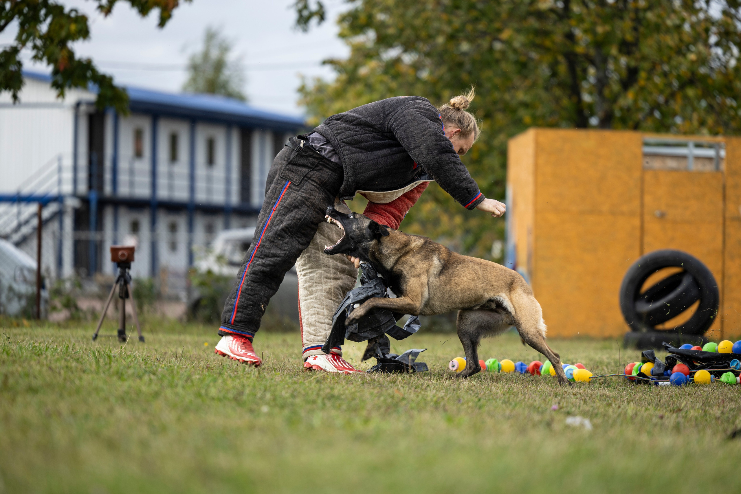 Испытания по Мондьорингу г. Пушкин. Фотограф-анималист Анна Маринич