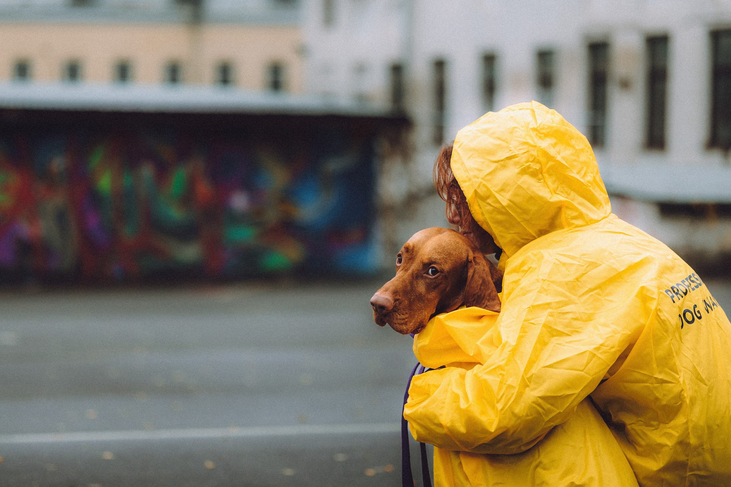 Екатерина и Даня