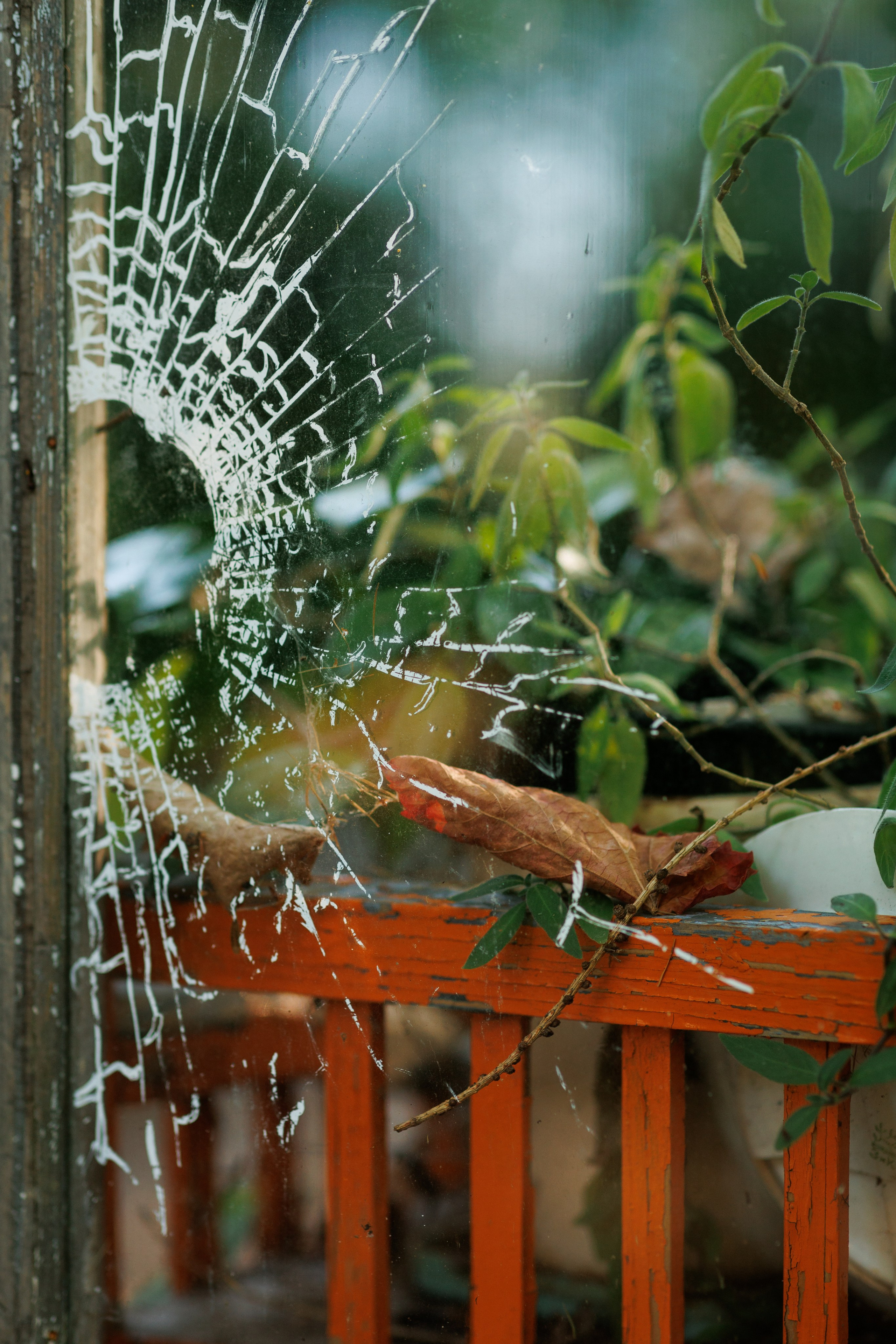Спектакль в Ботаническом саду (студия «Знаки сезонников». Фотограф в Твери и Москве Юлия Бахтамова