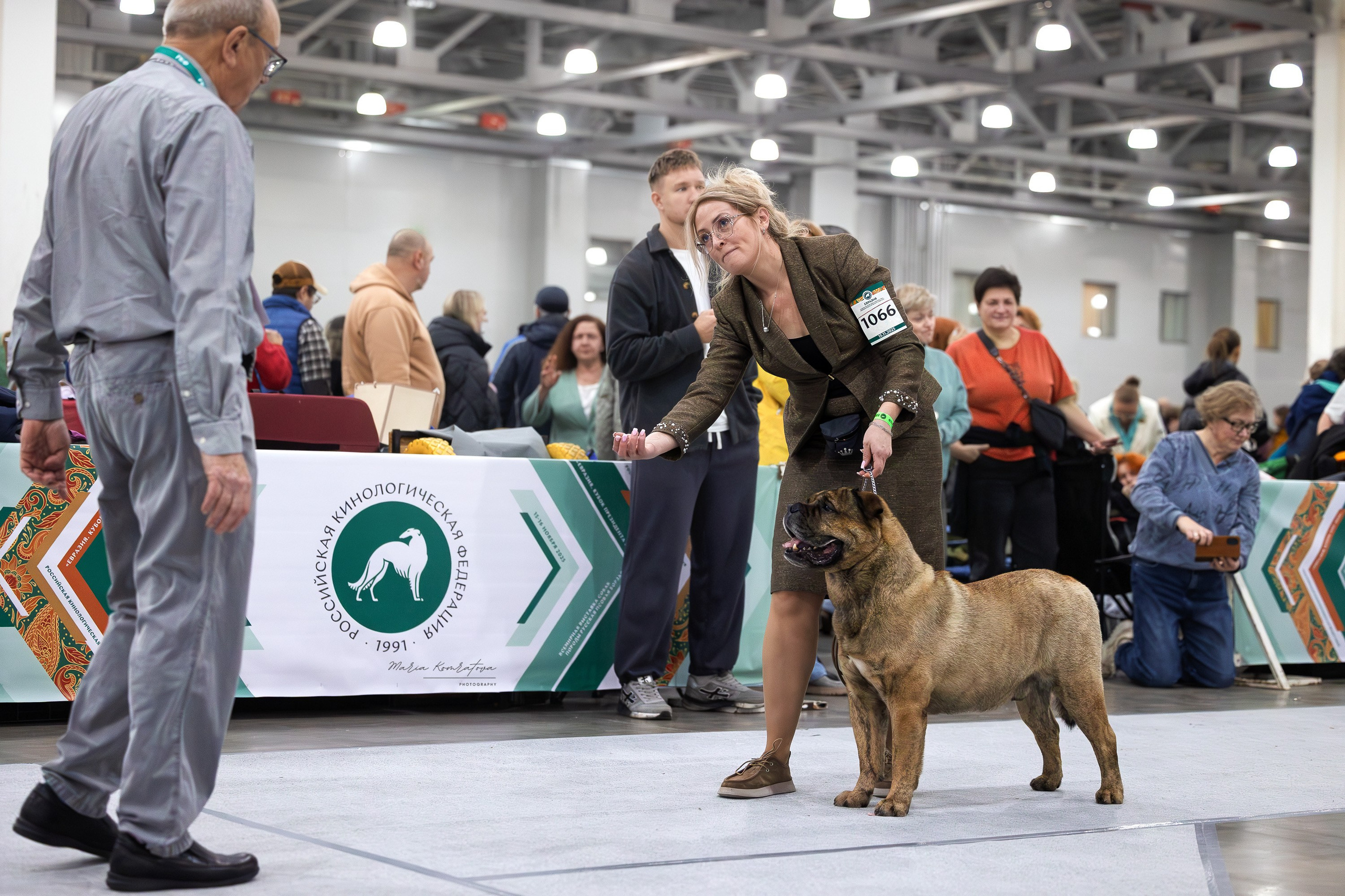 Евразия 2025 съемка в ринге на выставке собак, фотограф собак на выставке. Фотограф анималист, семейный фотограф, фотограф собак Комратова Мария. г. Москва