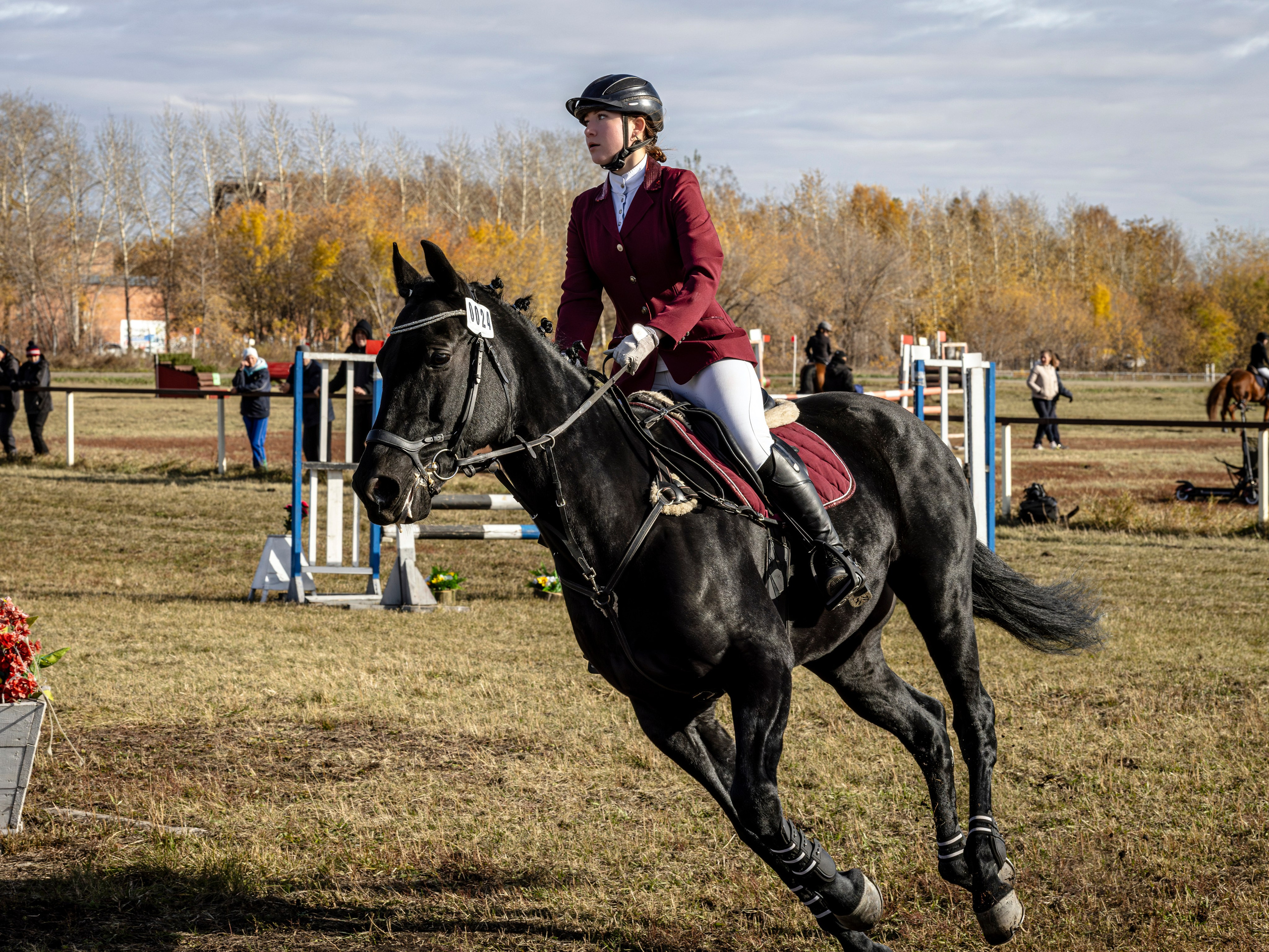 Конкур. Bertran Ordo