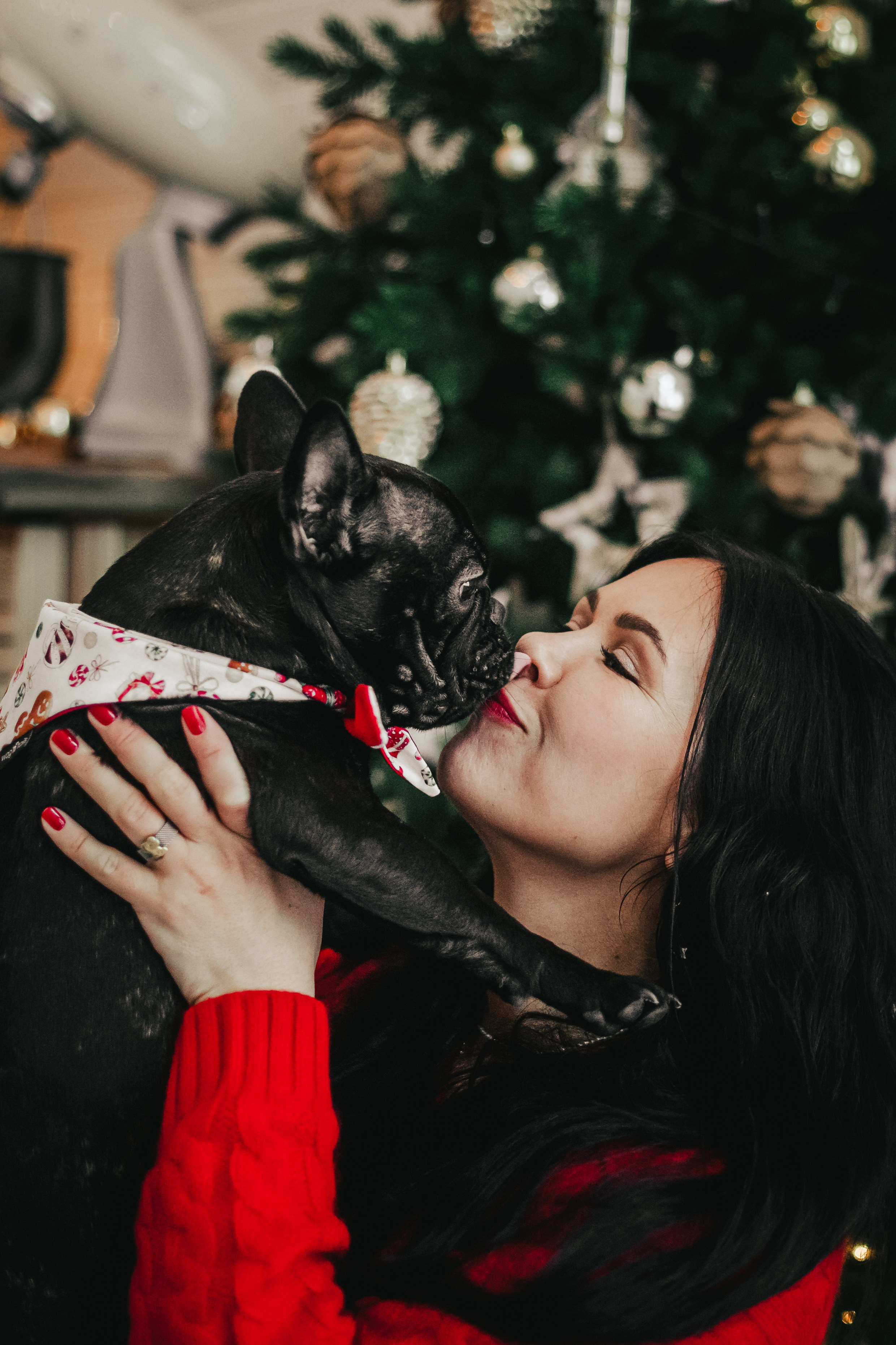 Кантри Хаус. Фотограф-анималист Татьяна Степанова