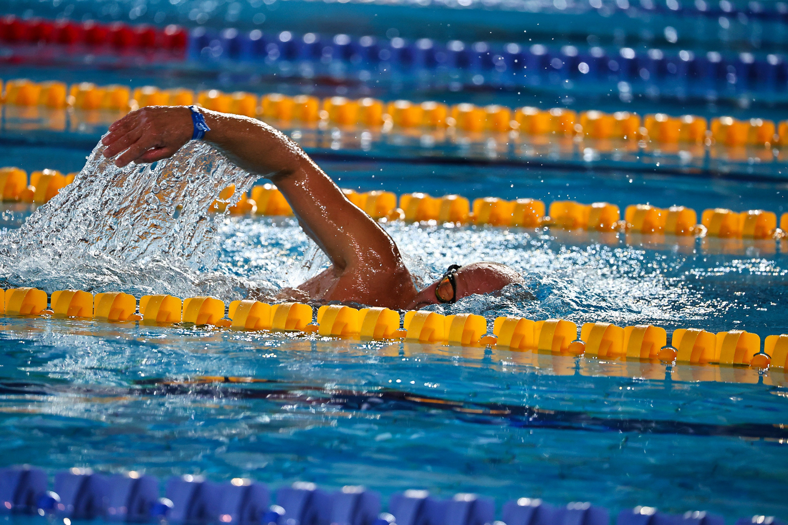 ДЗМ Плавание 2026. Фототерапевт Ева Бунеева