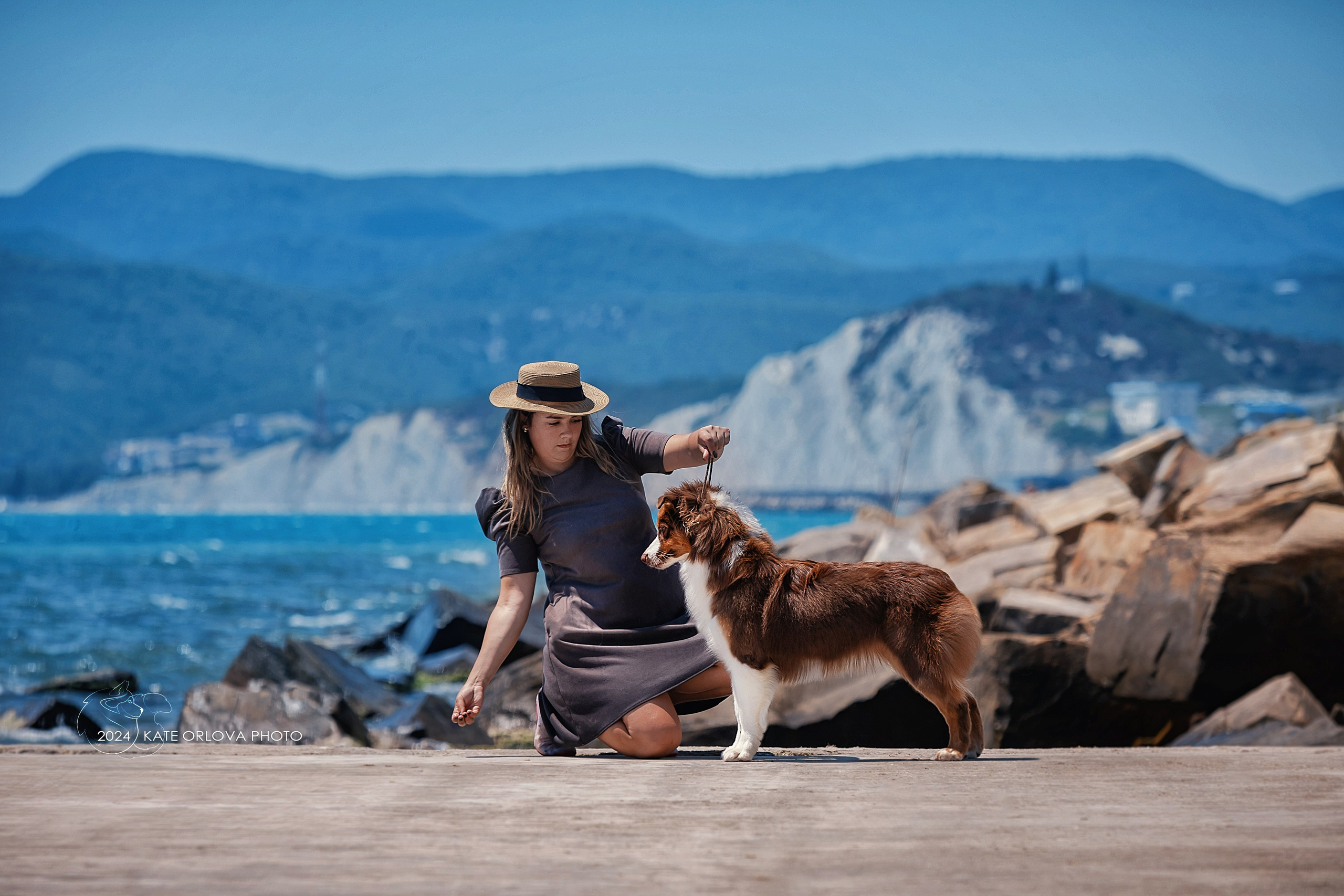 Фотосъемка собак, щенков, на выставках, фотограф анималист Россия воронеж. Питомник собак Акита, Хаски, Корги