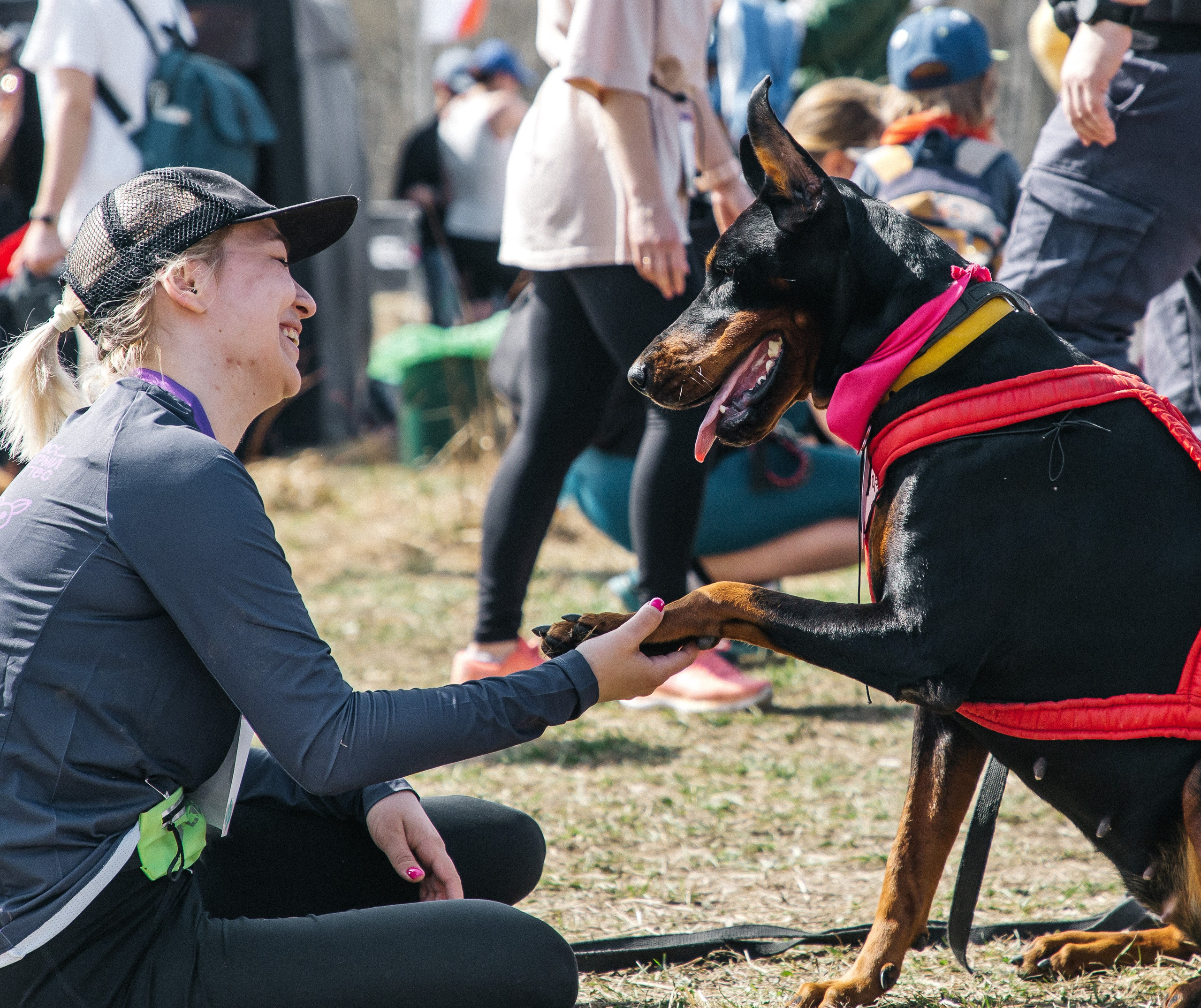 Кросс «Быстрый пёс» 2025. Репортажный фотограф в Москве