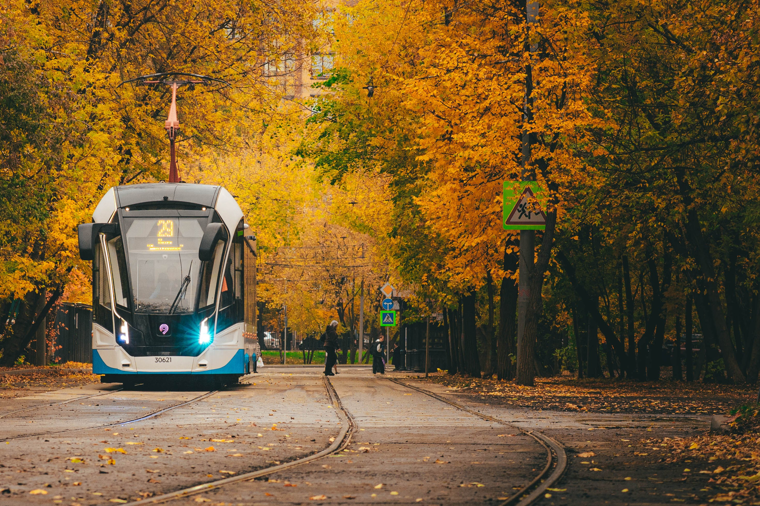 Дубки. Портретный фотограф в Москве Мальцев Максим