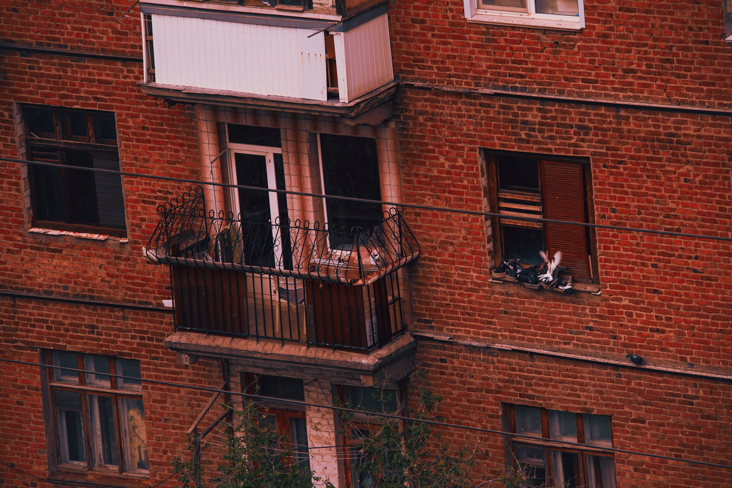 ВОЛГОГРАД. Семейный и travel-фотограф из Израиля