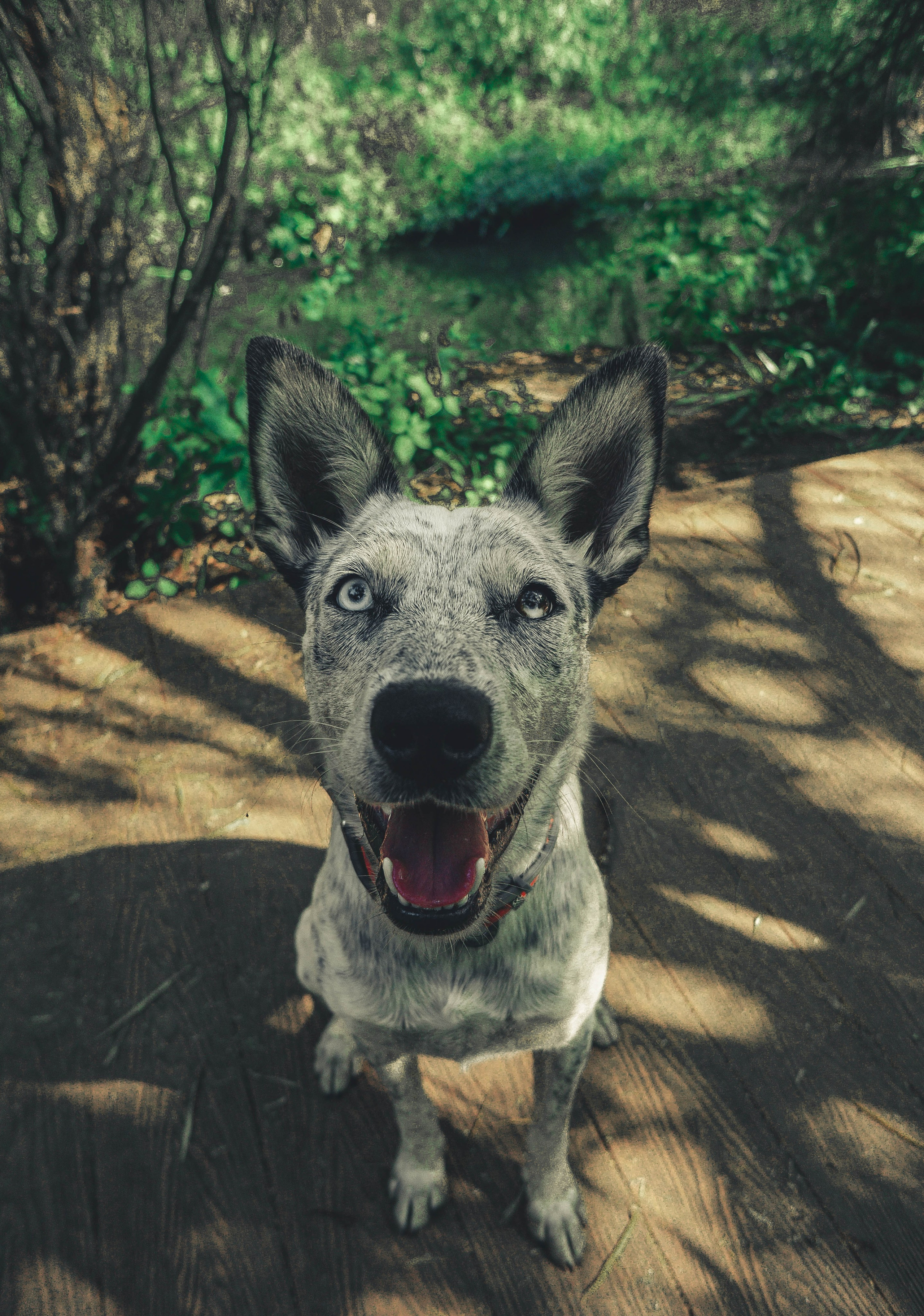 Цунами. Профессиональный фотограф