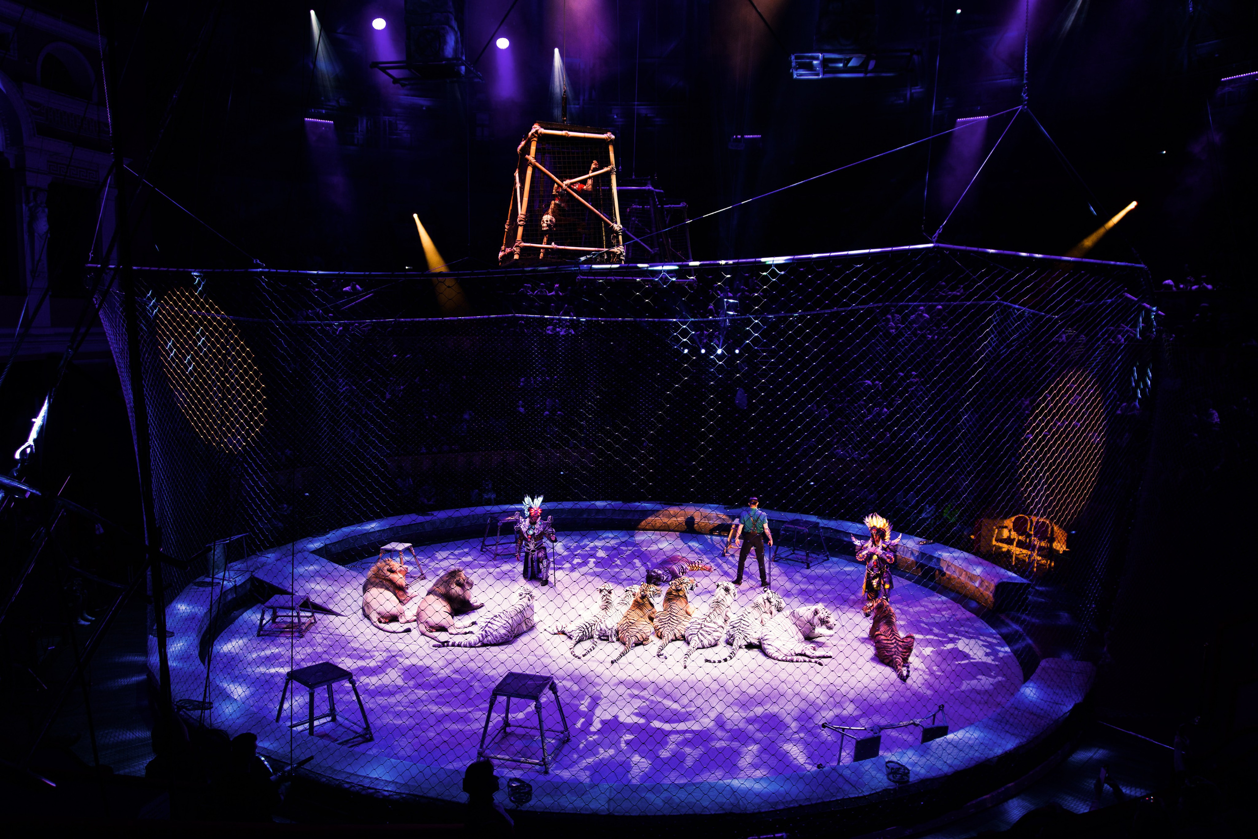 Цирк. Анна Жукова — Режиссёр кино и цирка, сценарист, фотограф