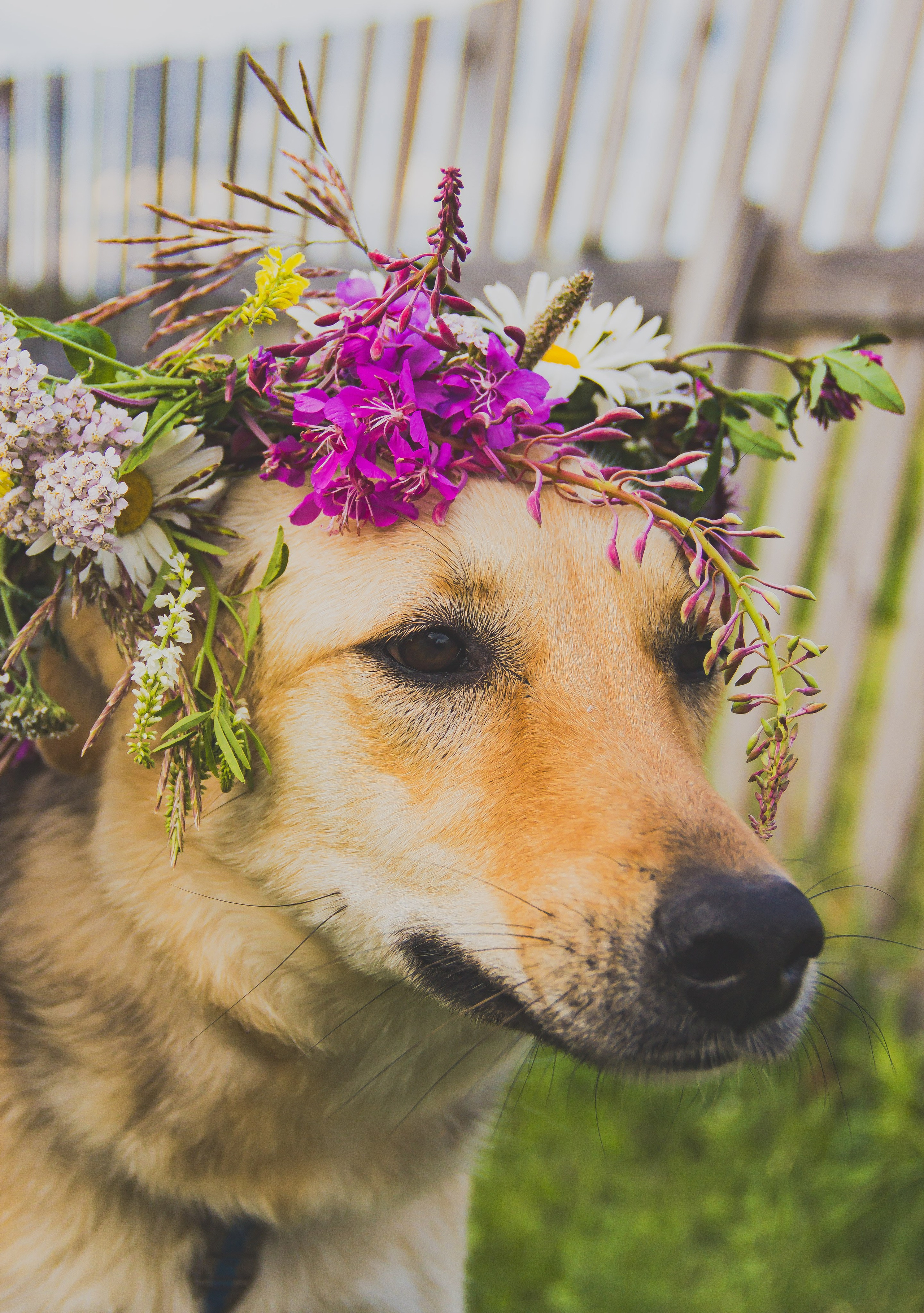Family: день Ивана Купалы. Фотограф в Перми Любовь Огородова | Авторские туры