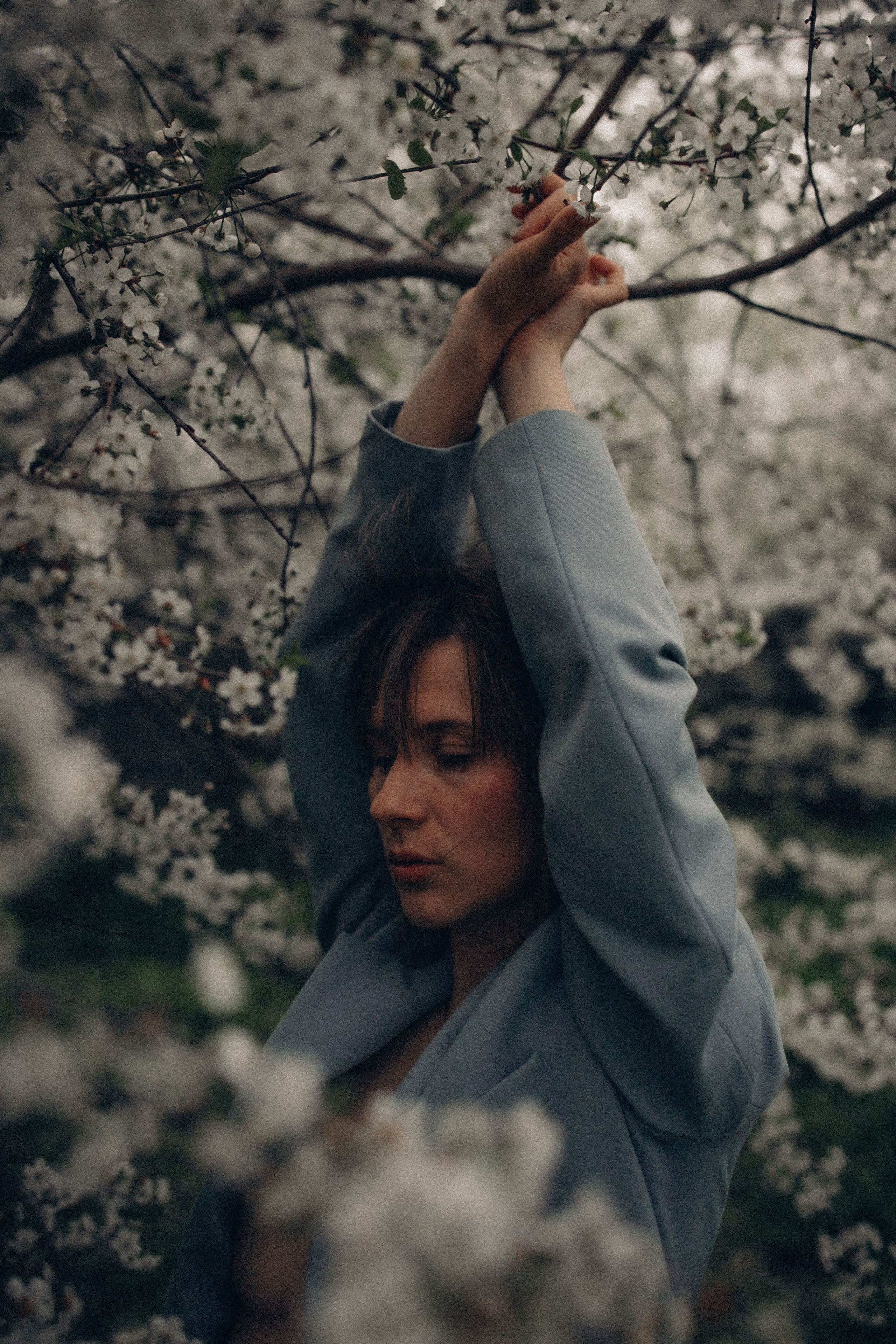 Цветущая сакура. Нежный фотограф о любви