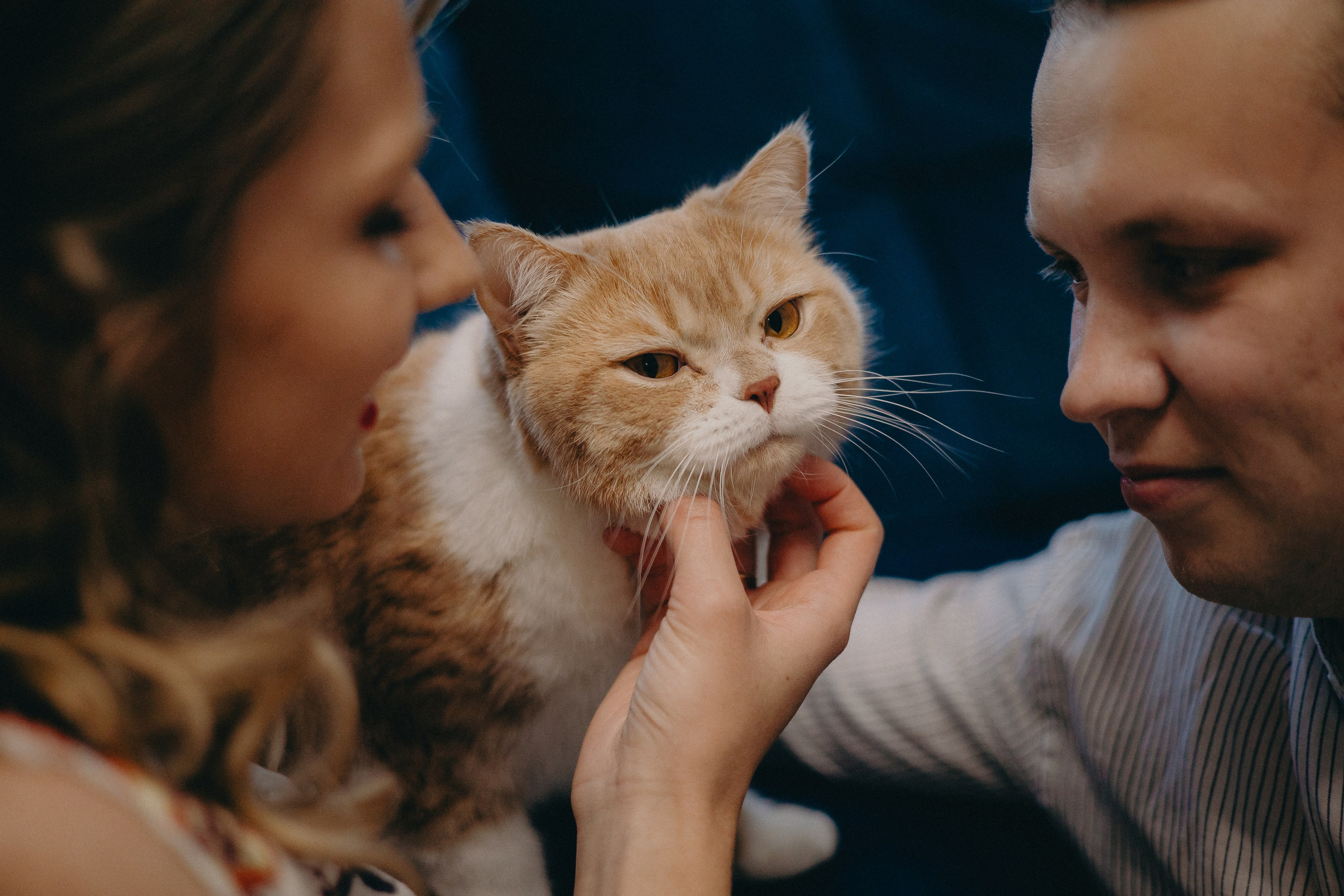 Love story. Семейный и свадебный фотограф в Ульяновске
