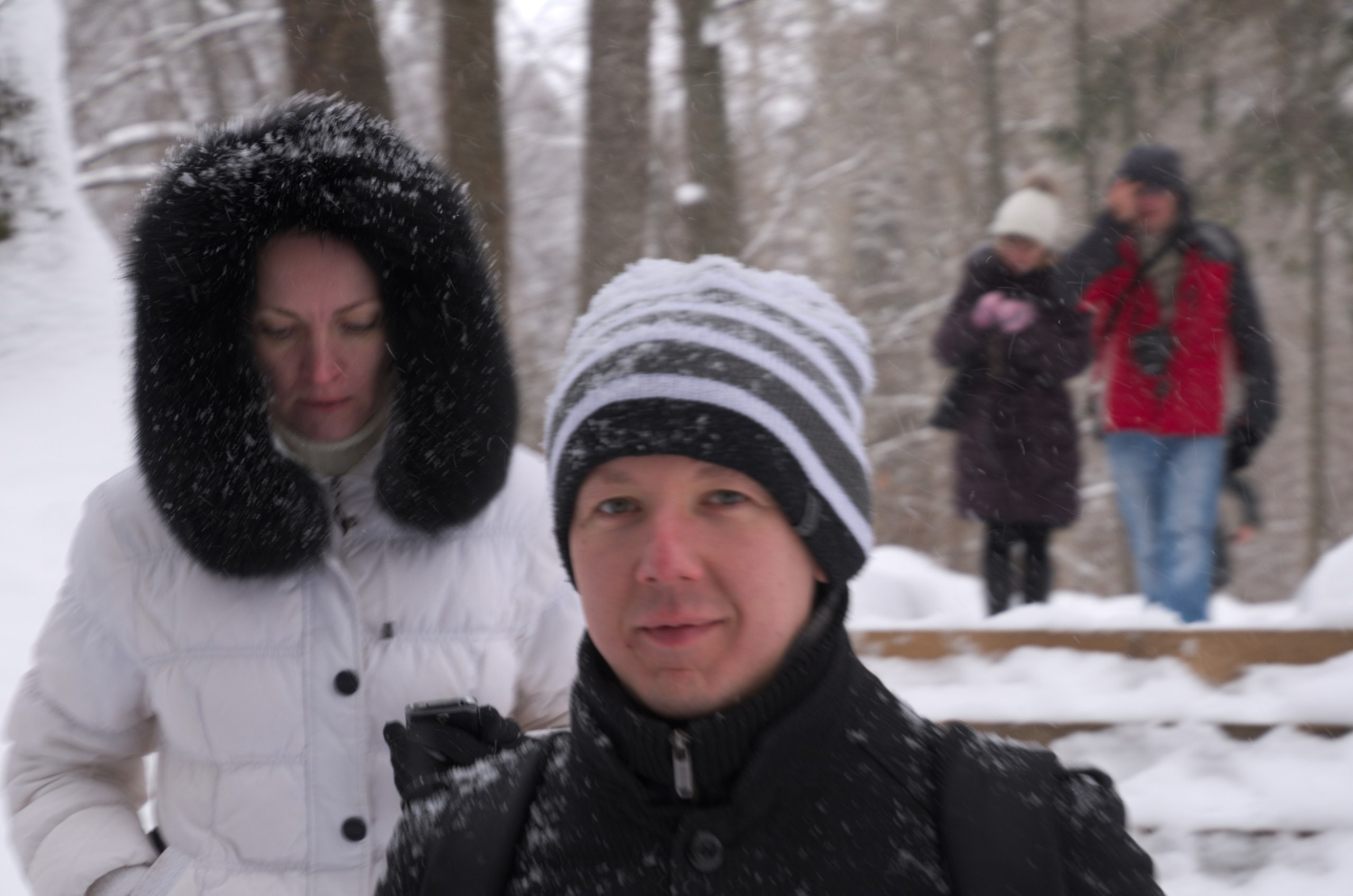 Сергиев Посад | 11.12.2016. Галерея Фантим