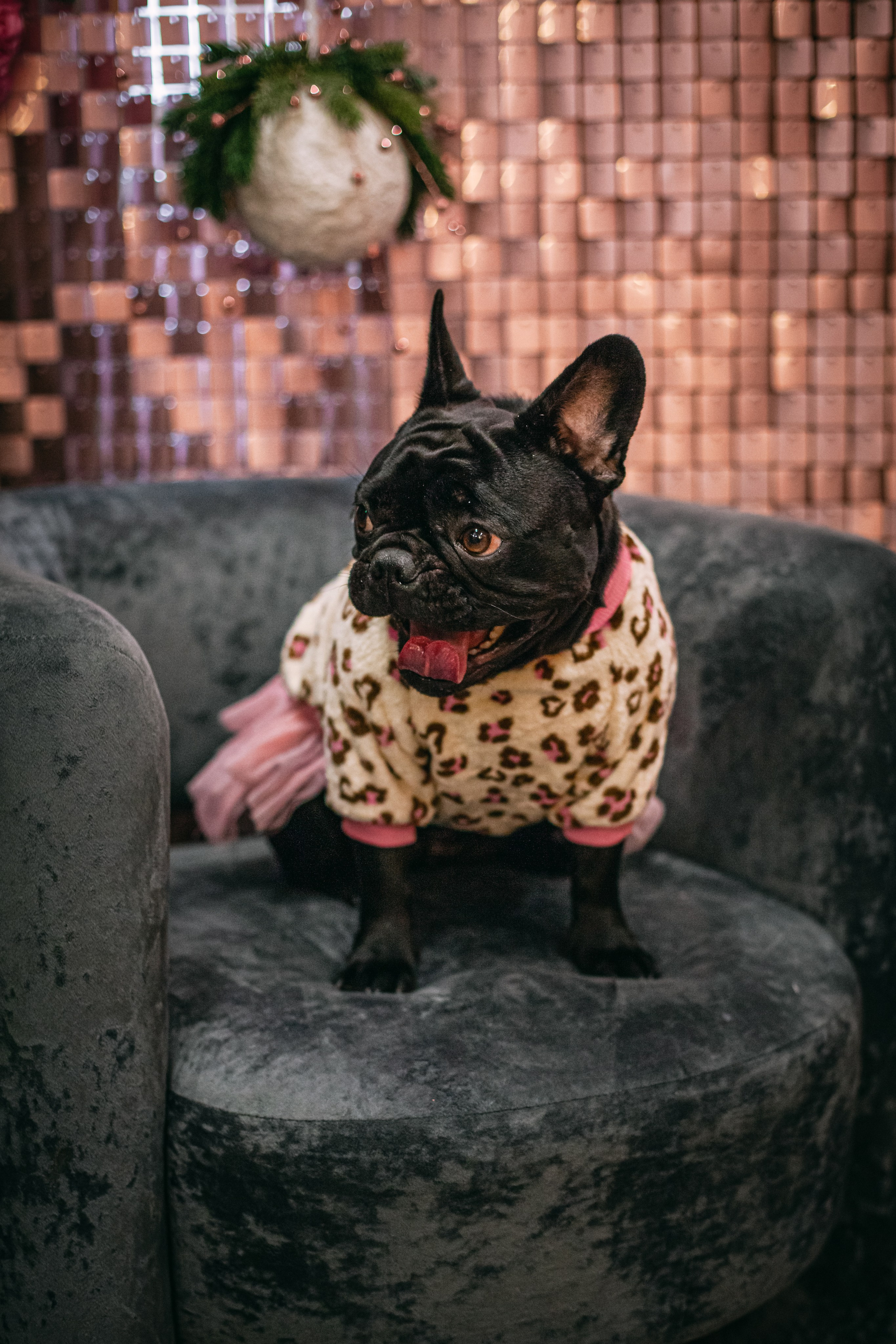 Бульёлка 2024. Фотограф-анималист Татьяна Степанова