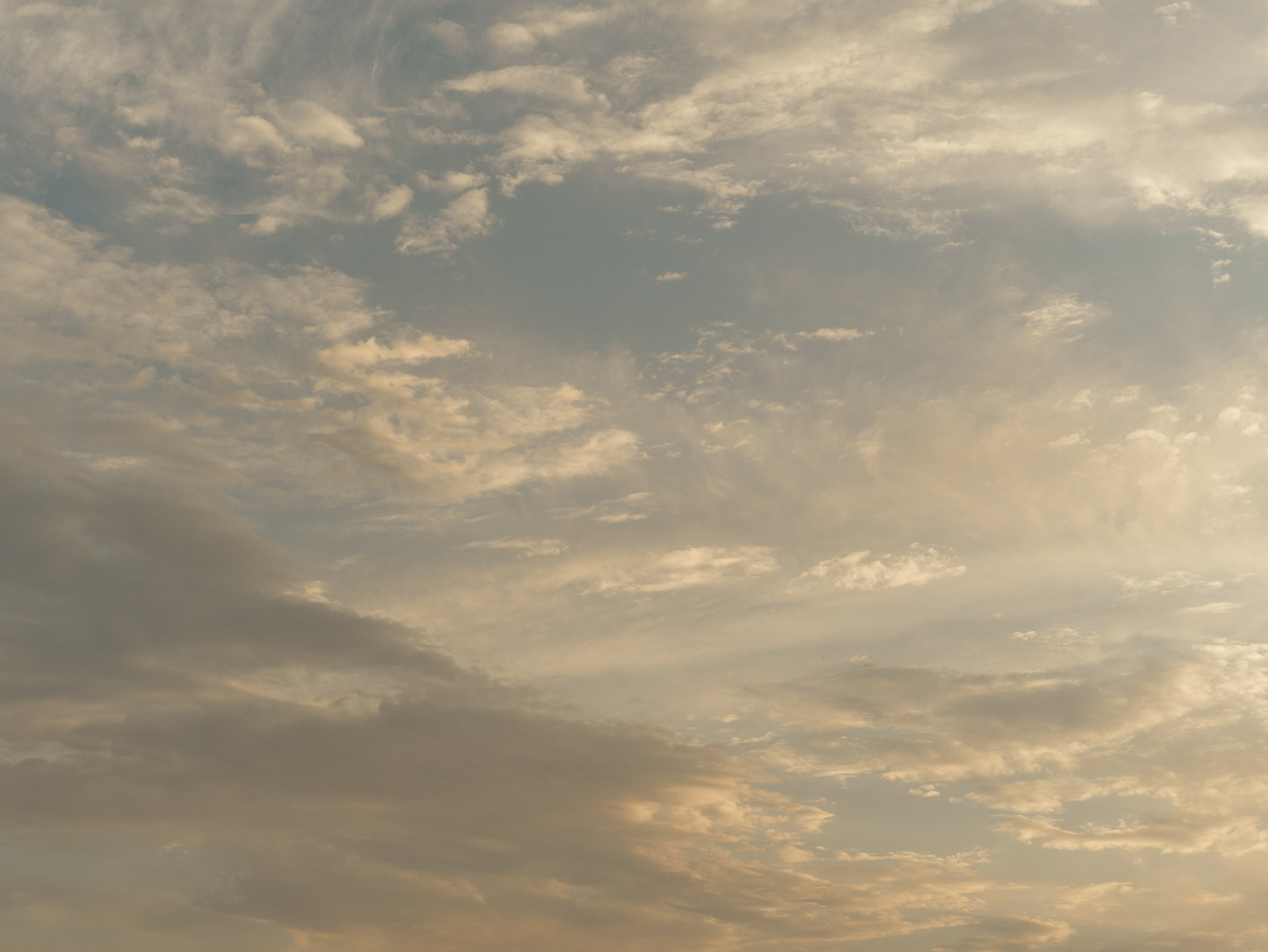 Наше кино. Свадебный и семейный фотограф Диана Лбова. Чебоксары