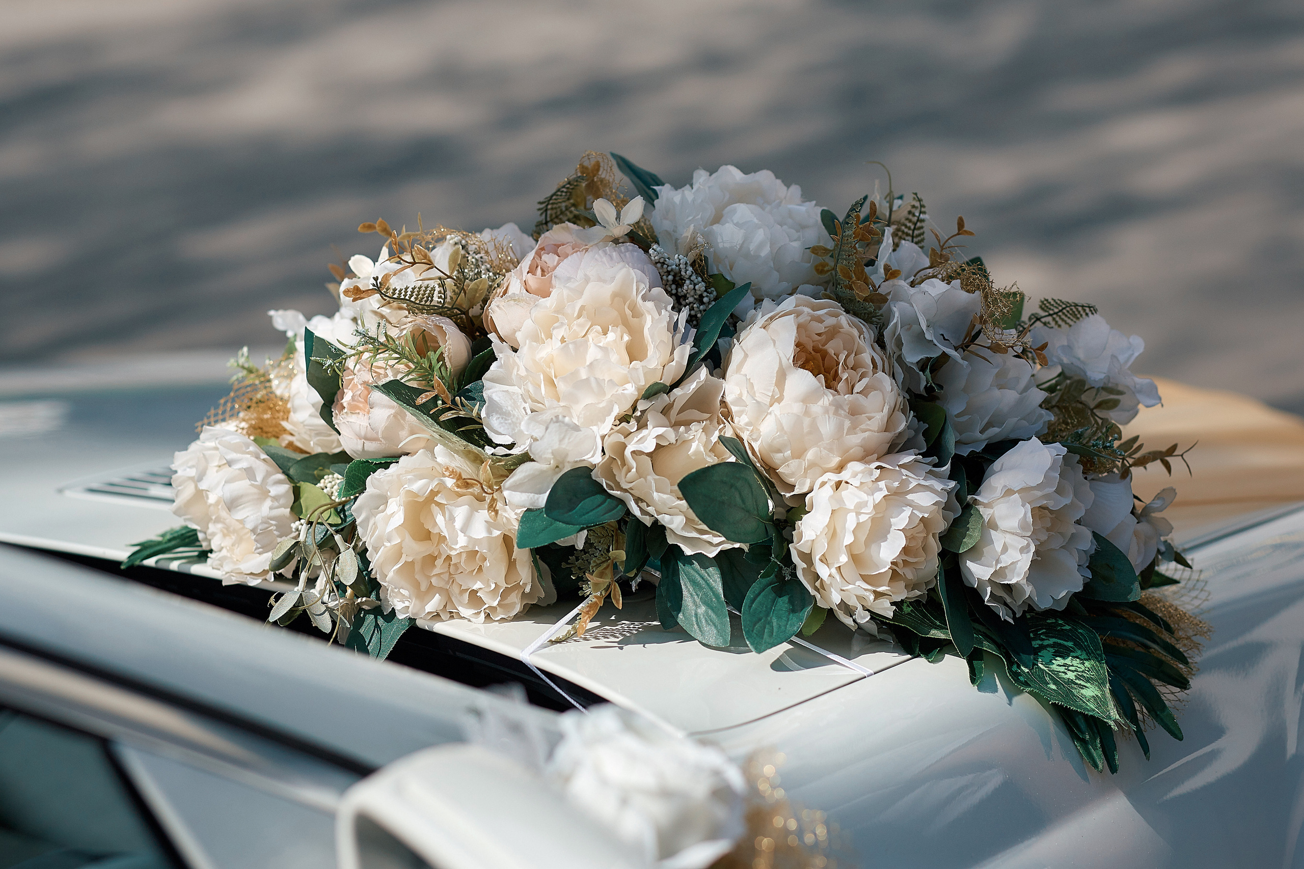 Артем и Елена. Фотограф Валерий Савиовский