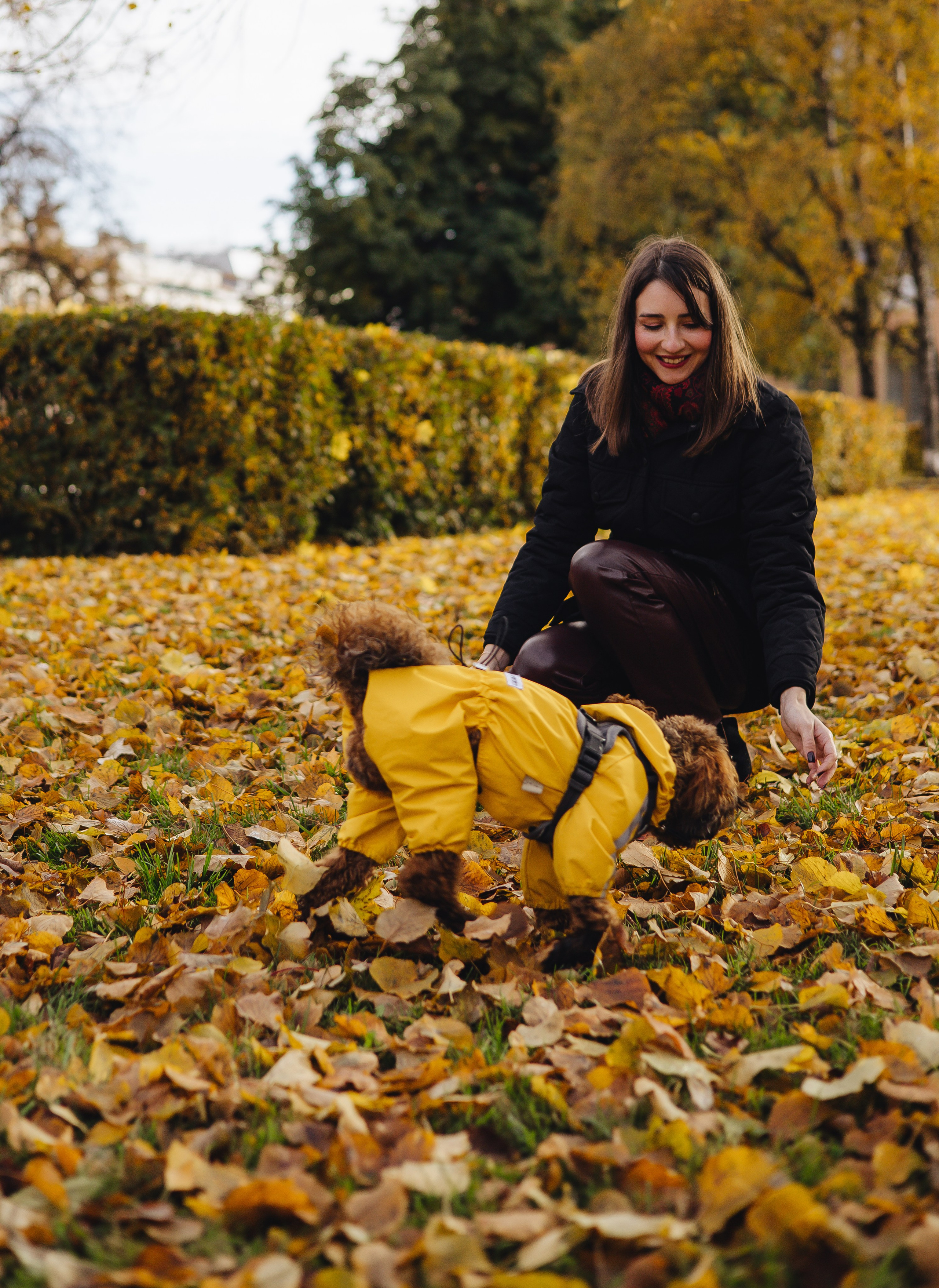 Летающая Мерси