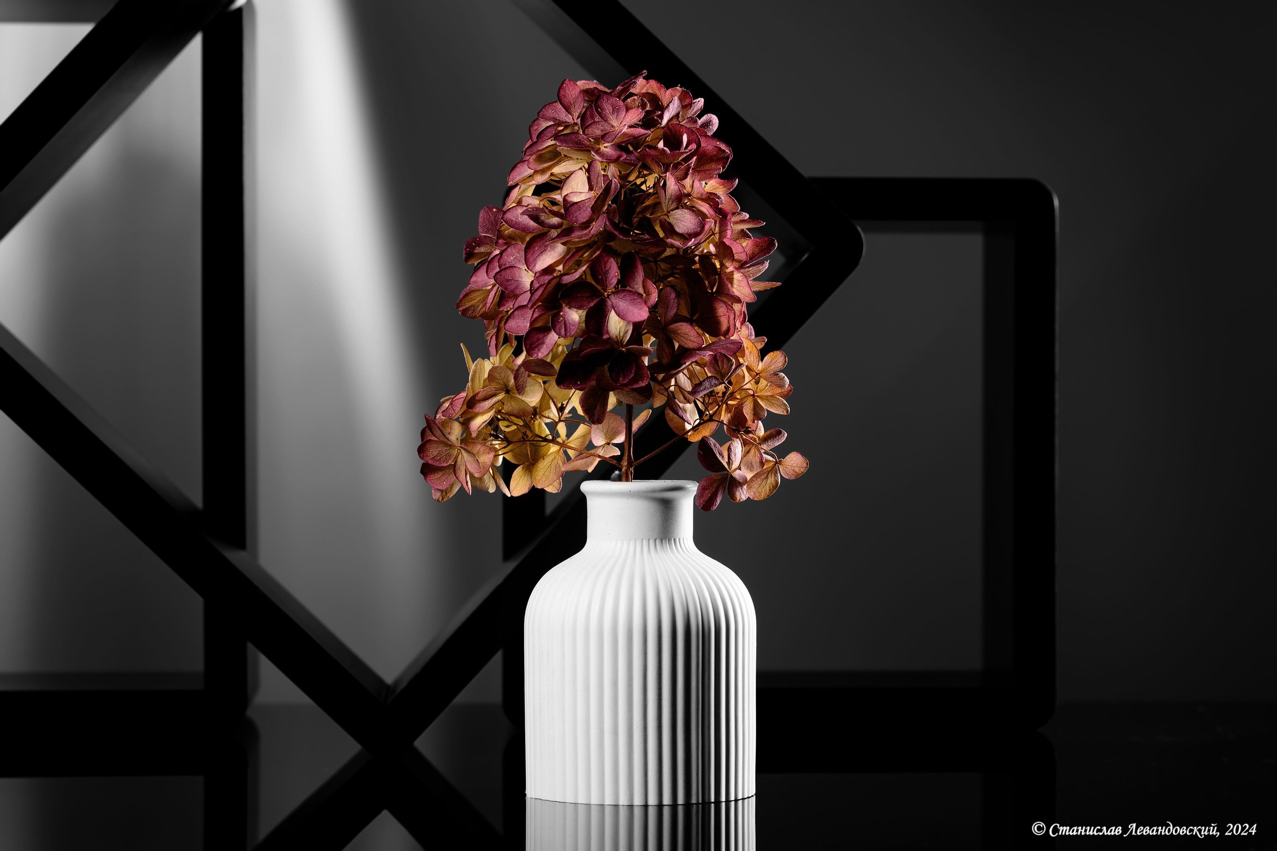 Предметы с матовой поверхностью. Предметный фотограф в Москве Станислав Левандовский