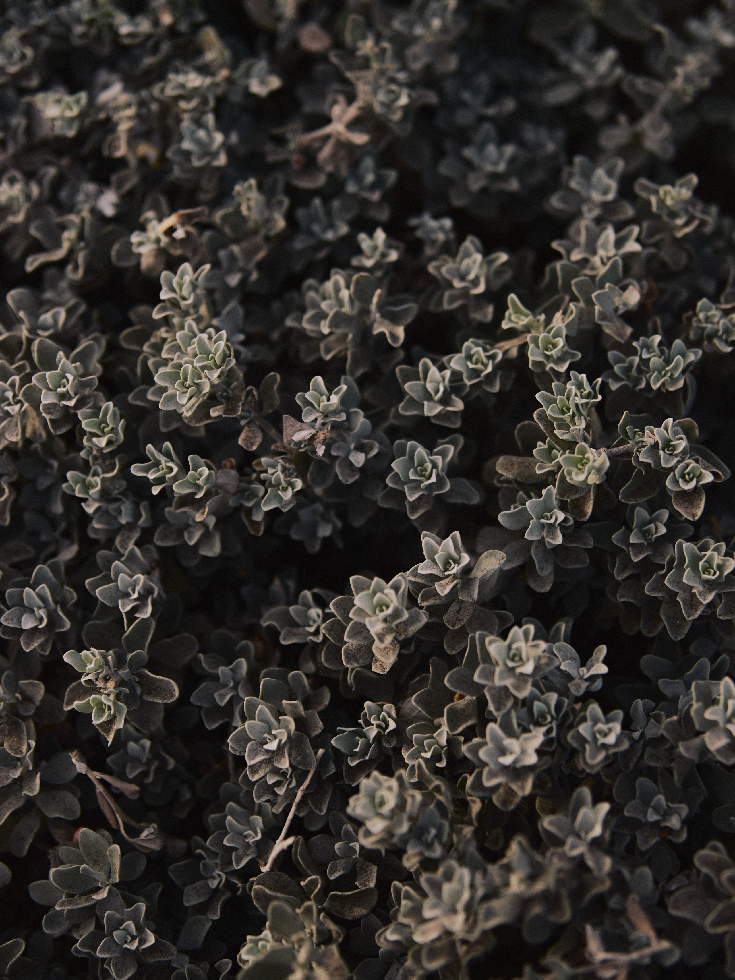 Природа. Jorgis Talè — photographer, kind person, teacher of arts and other mag