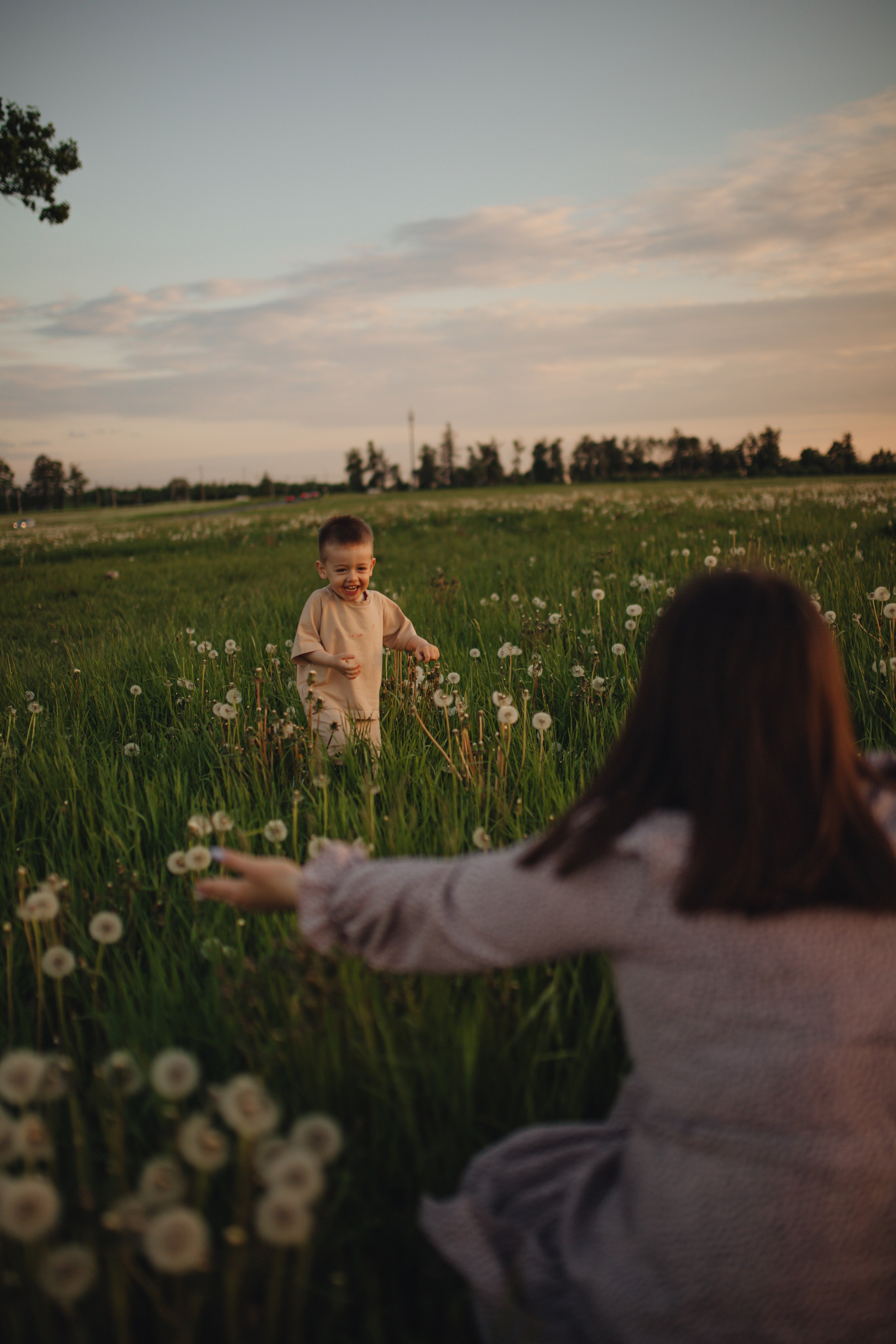 В поле на закате. Фотограф Винокурова Кристина в Санкт-Петербурге