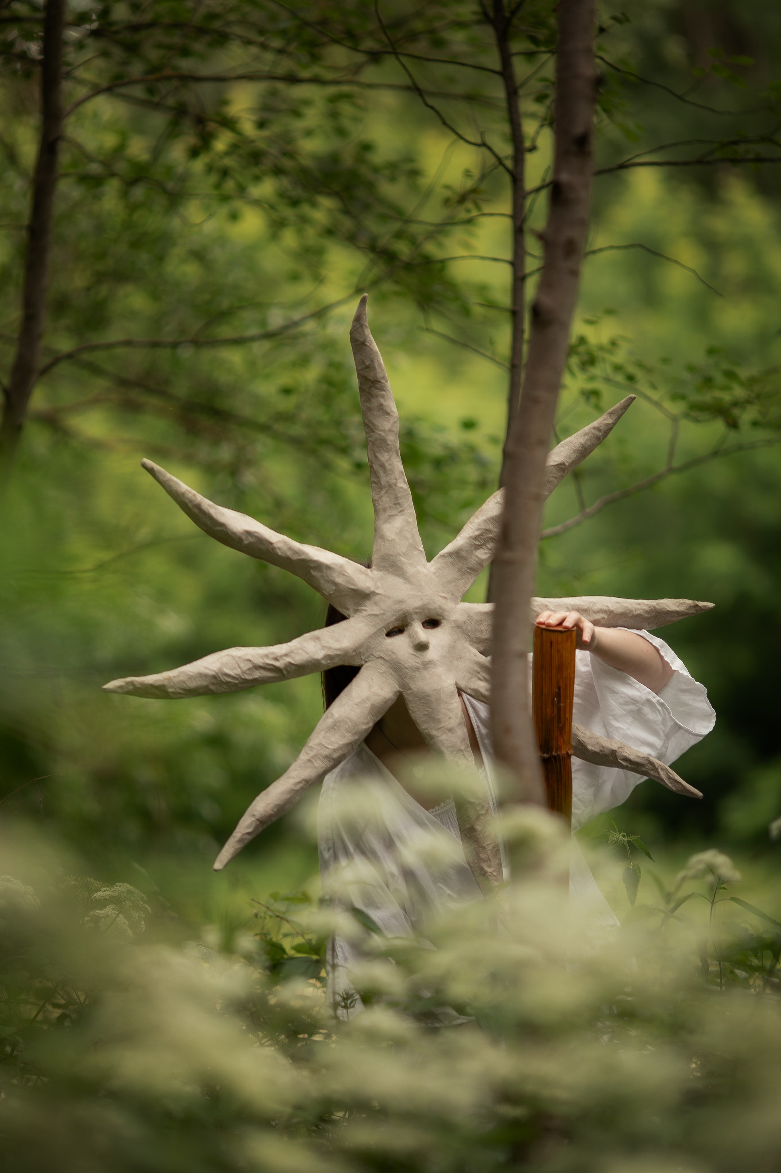 Фотопроект «Духи леса» — маски из папье-маше, свет и тишина природы. Фотограф Анна Грошикова — авторская съёмка на рассвете и закате в Москве, Мытищах, Солнечногорске и Московской области