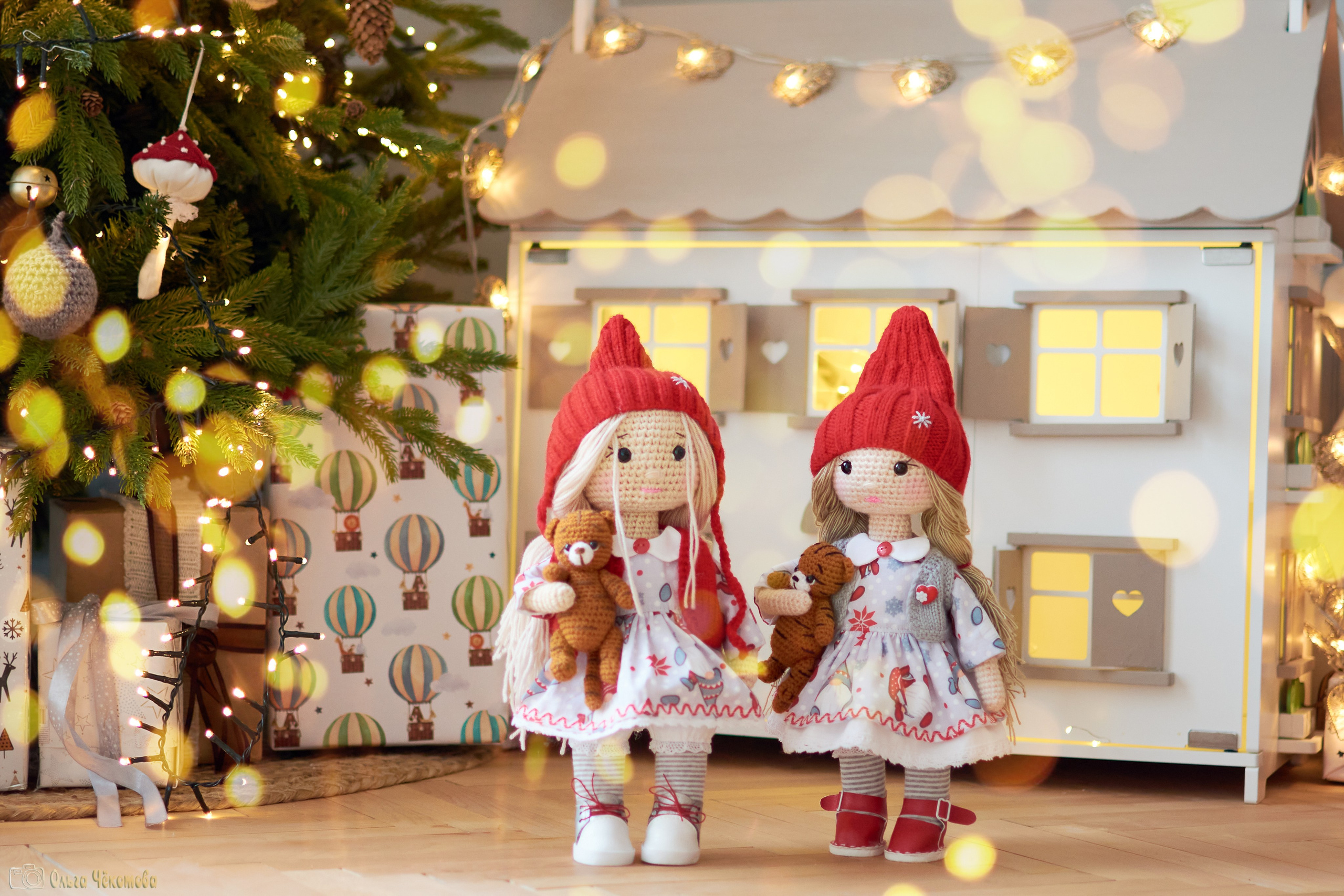 Новогодняя сказка для Пети. Ольга Чёкотова (Фотограф Кострома)