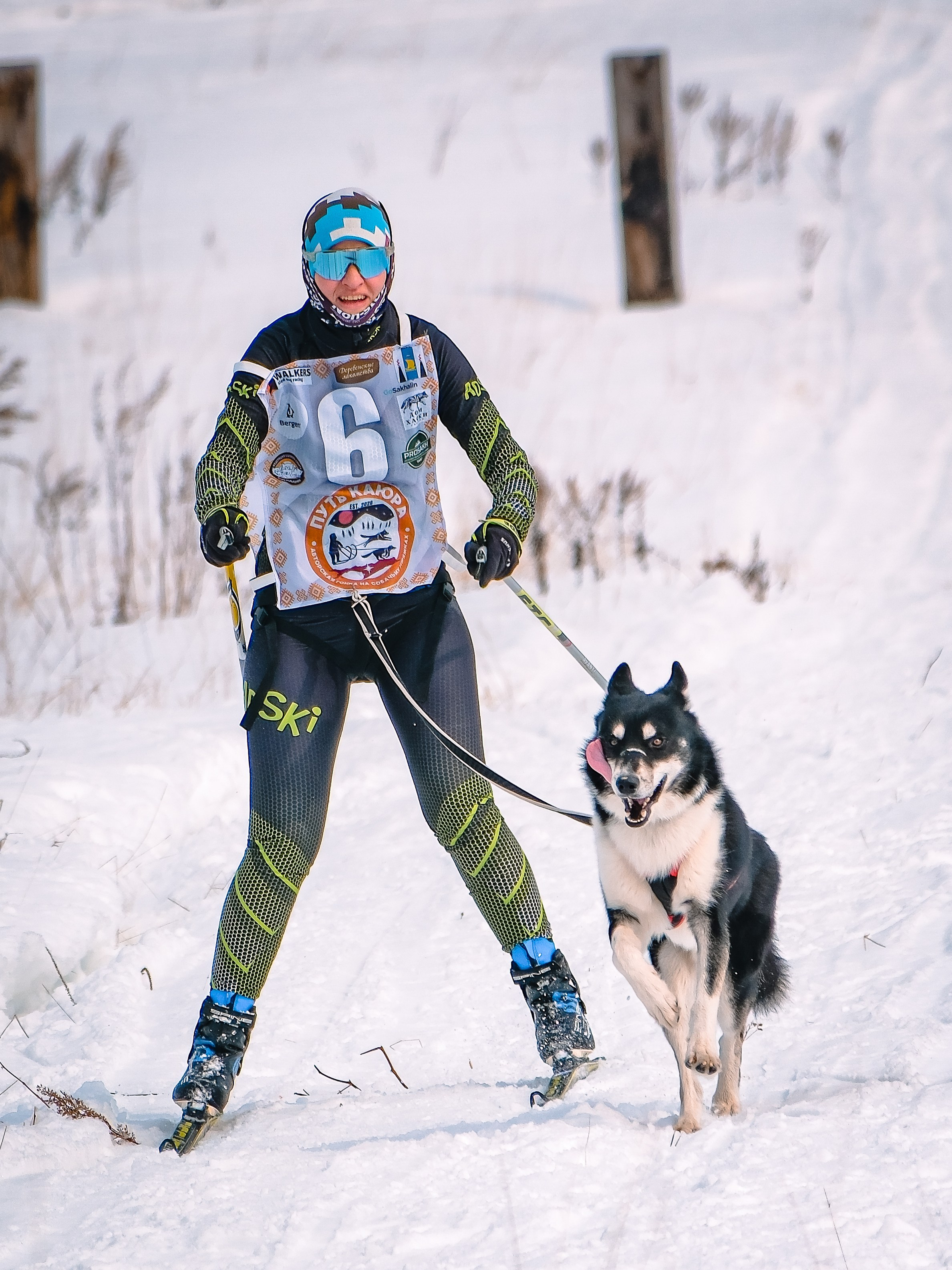 Фестиваль ездового спорта. Фотограф. г. Южно-Сахалинск. Олег Толстов