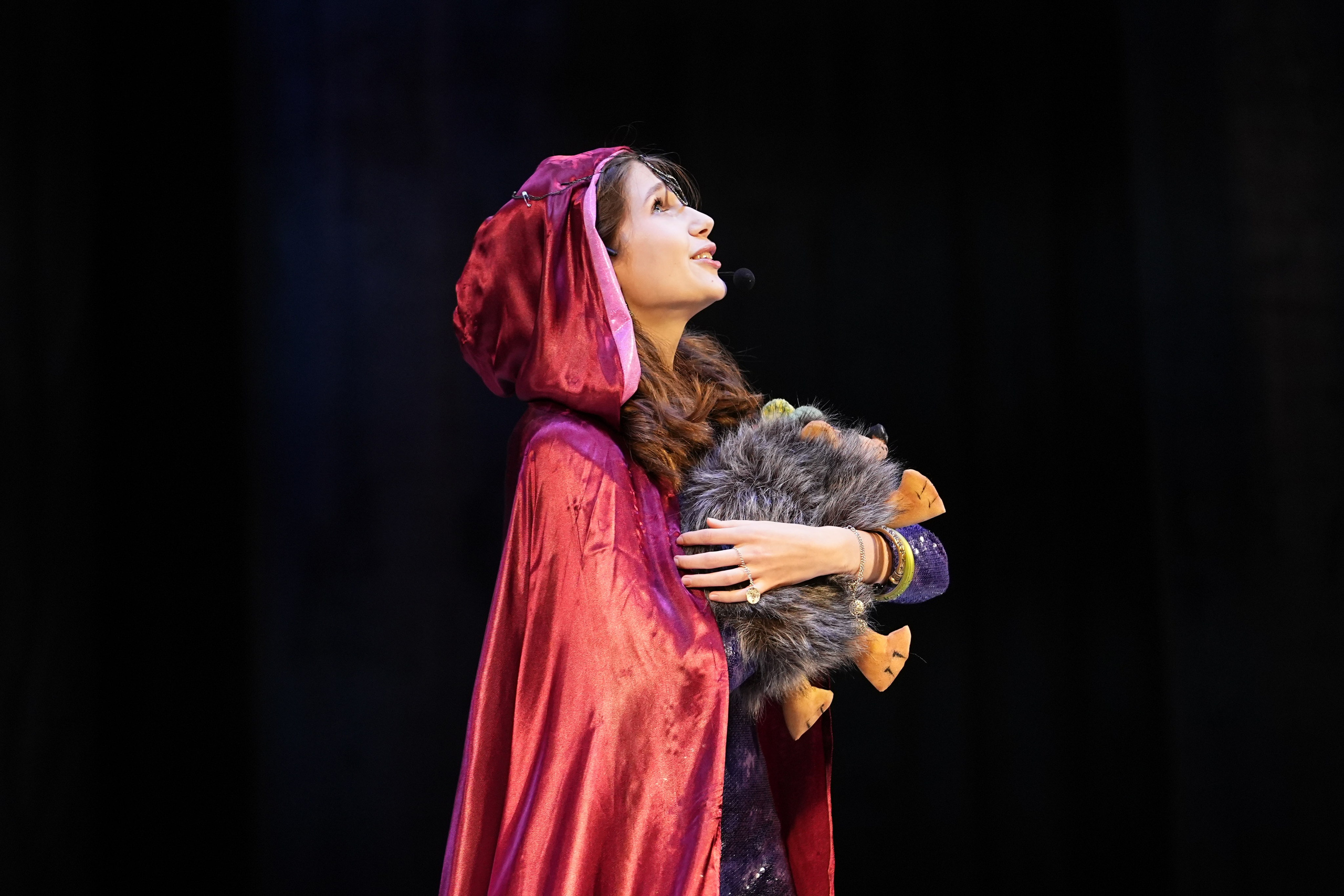 30 ноября, г. Ярославль. Золотое яблочко