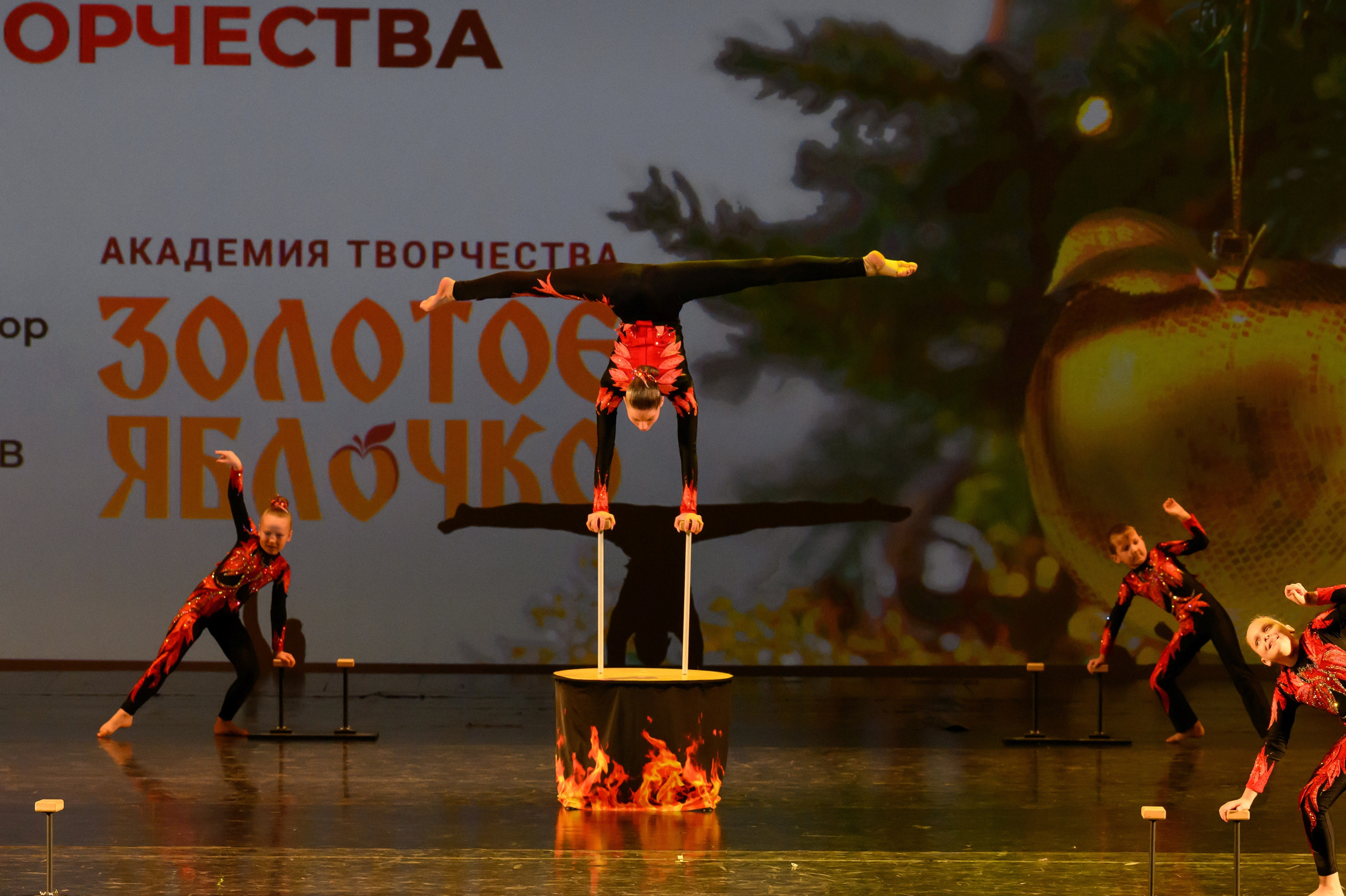 4 декабря, блок 1, награда, г. Санкт-Петербург. Золотое яблочко