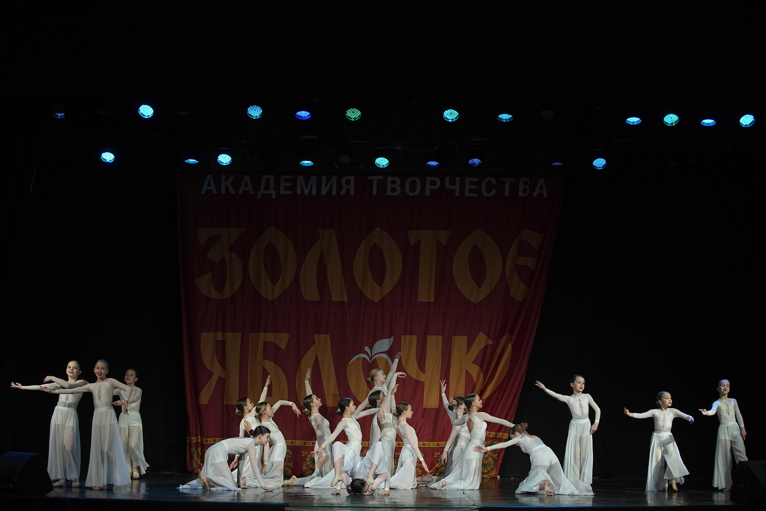 8 декабря, г. Кострома. Золотое яблочко