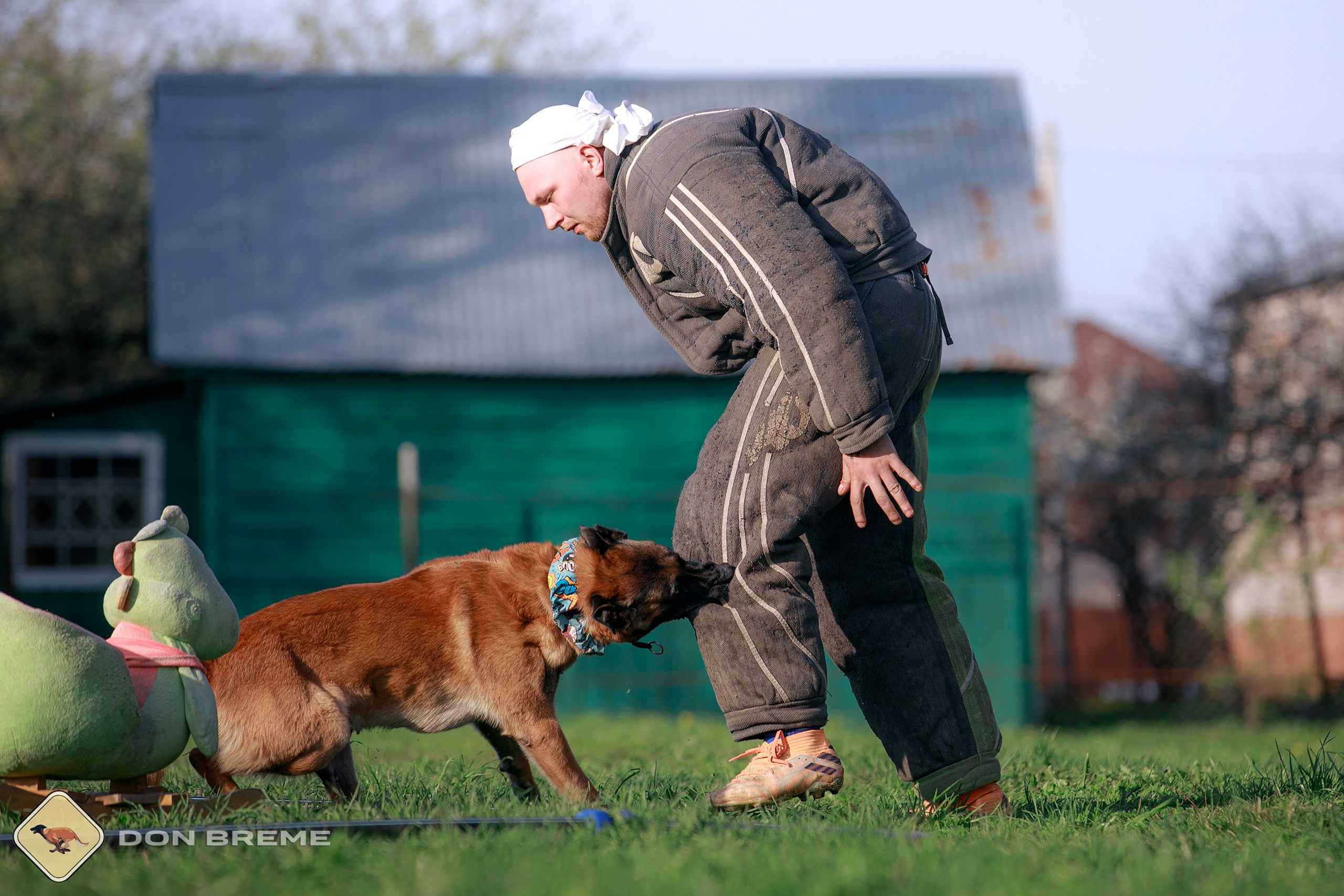 Семинар для фигурантов, день 4. Фотограф-анималист Mary Mart — Москва, Питер