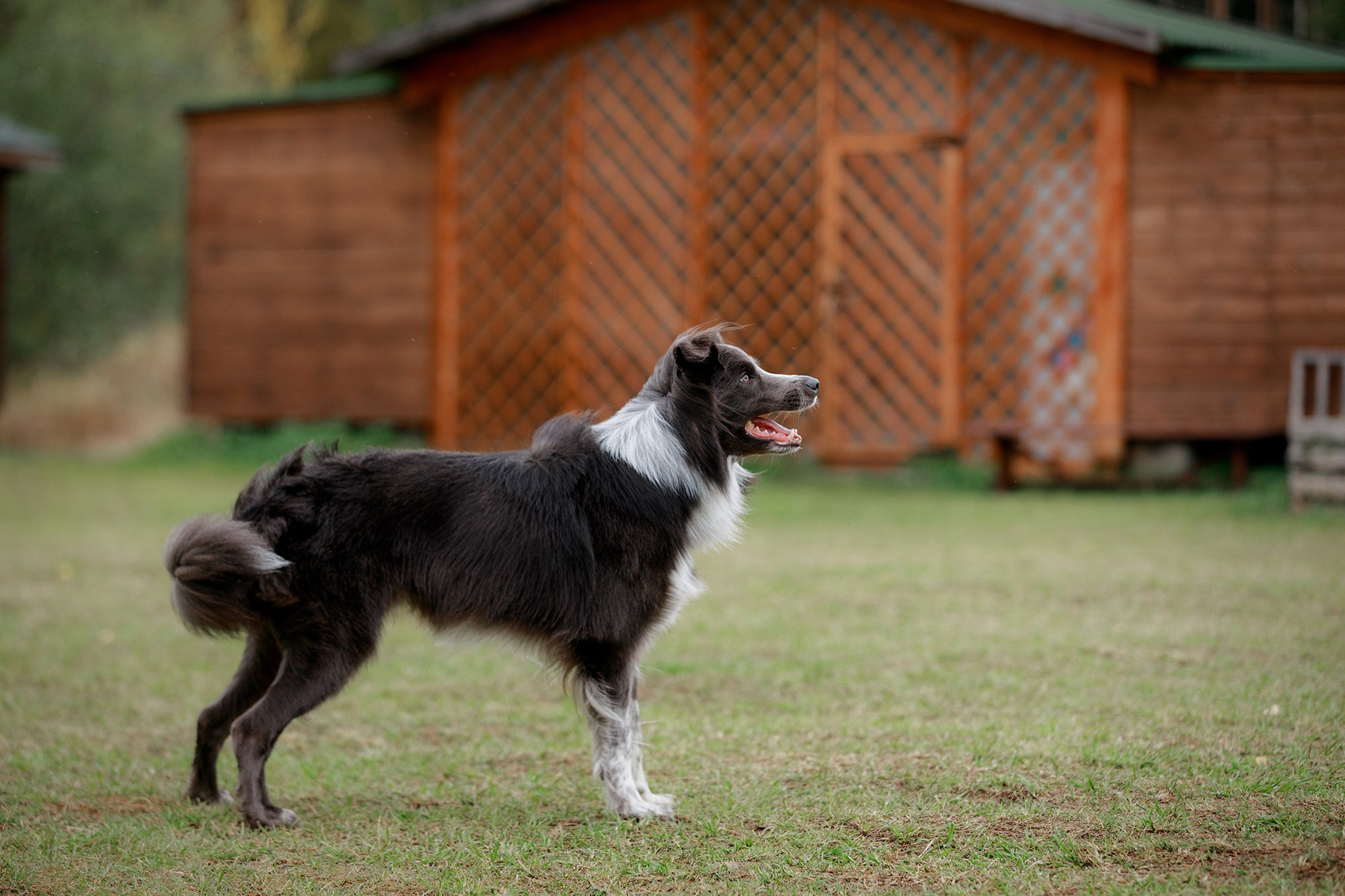 Лагерь по ОБД с Инной Баженовой. Фотограф-анималист Mary Mart — Москва, Питер