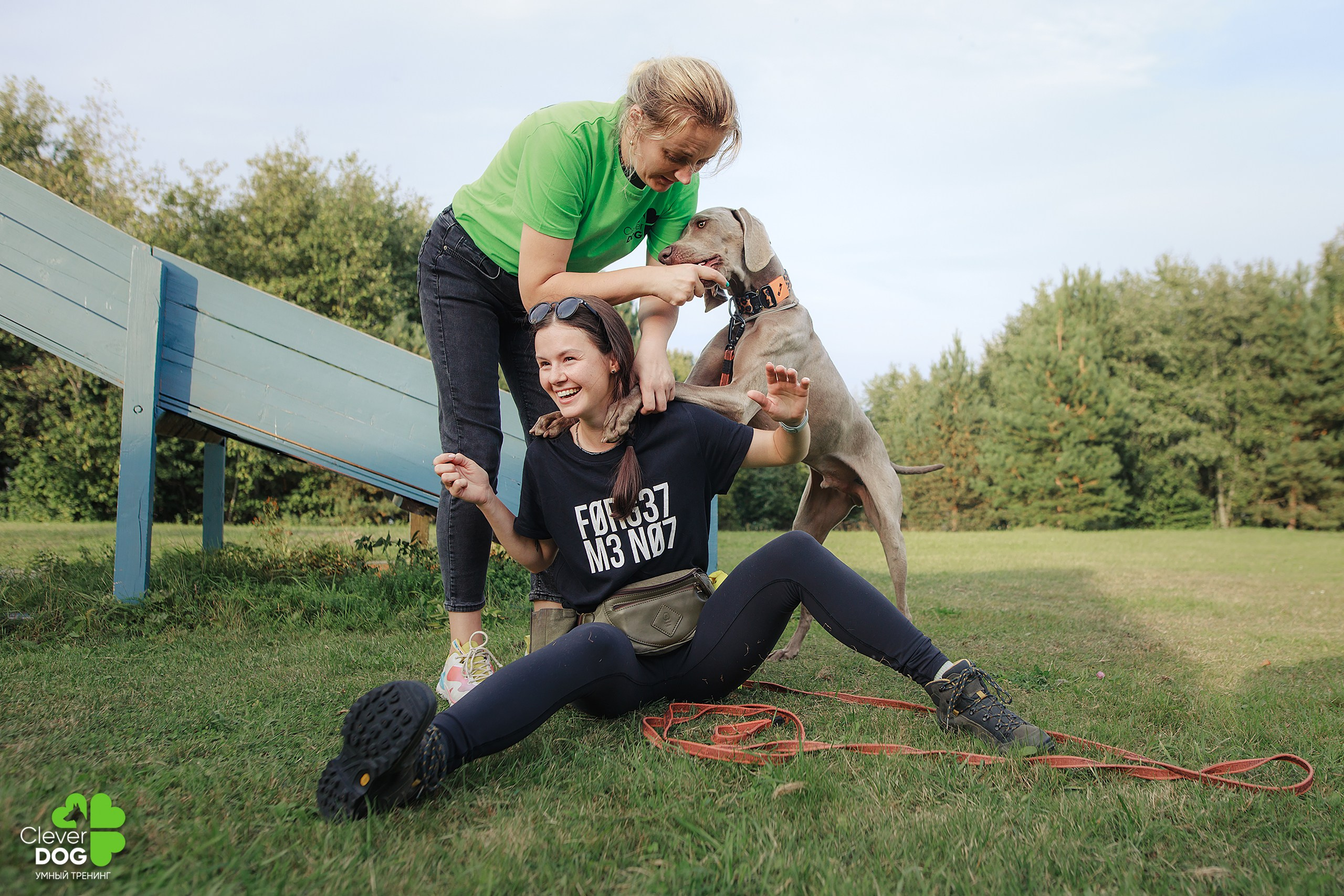 Кинологический лагерь CleverDog, 2024. Фотограф-анималист Mary Mart — Москва, Питер
