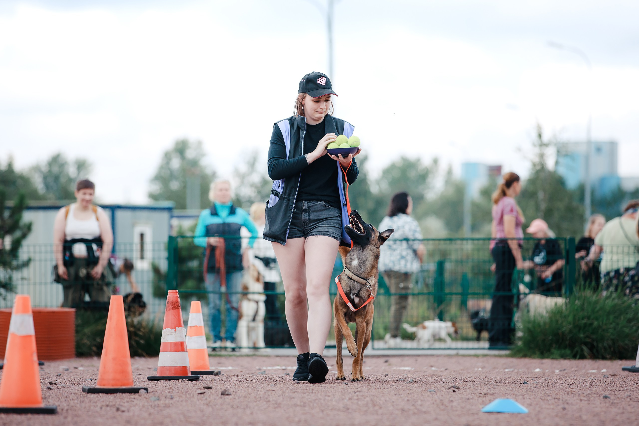 Питч&Гоу + веселые старты. Фотограф-анималист Mary Mart — Москва, Питер