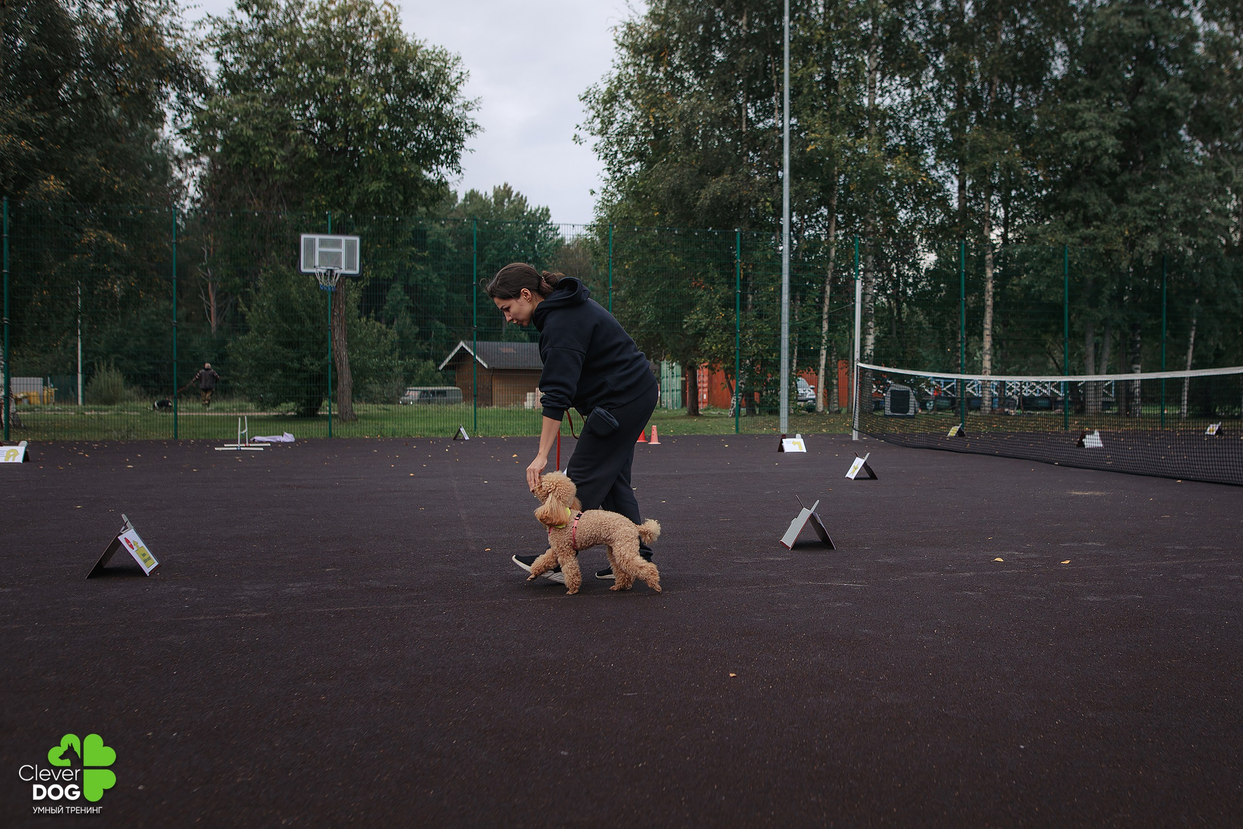 Кинологический лагерь CleverDog, 2024. Фотограф-анималист Mary Mart — Москва, Питер