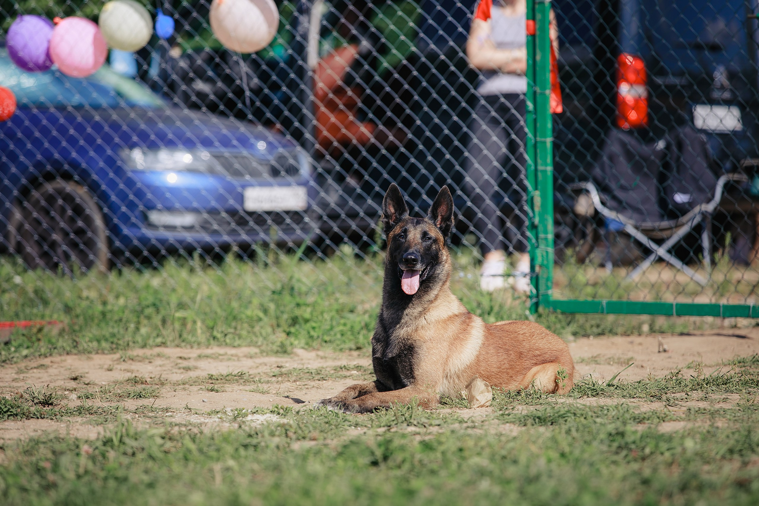 Мондьоринг М1, М2, М3, Вологда. Фотограф-анималист Mary Mart — Москва, Питер