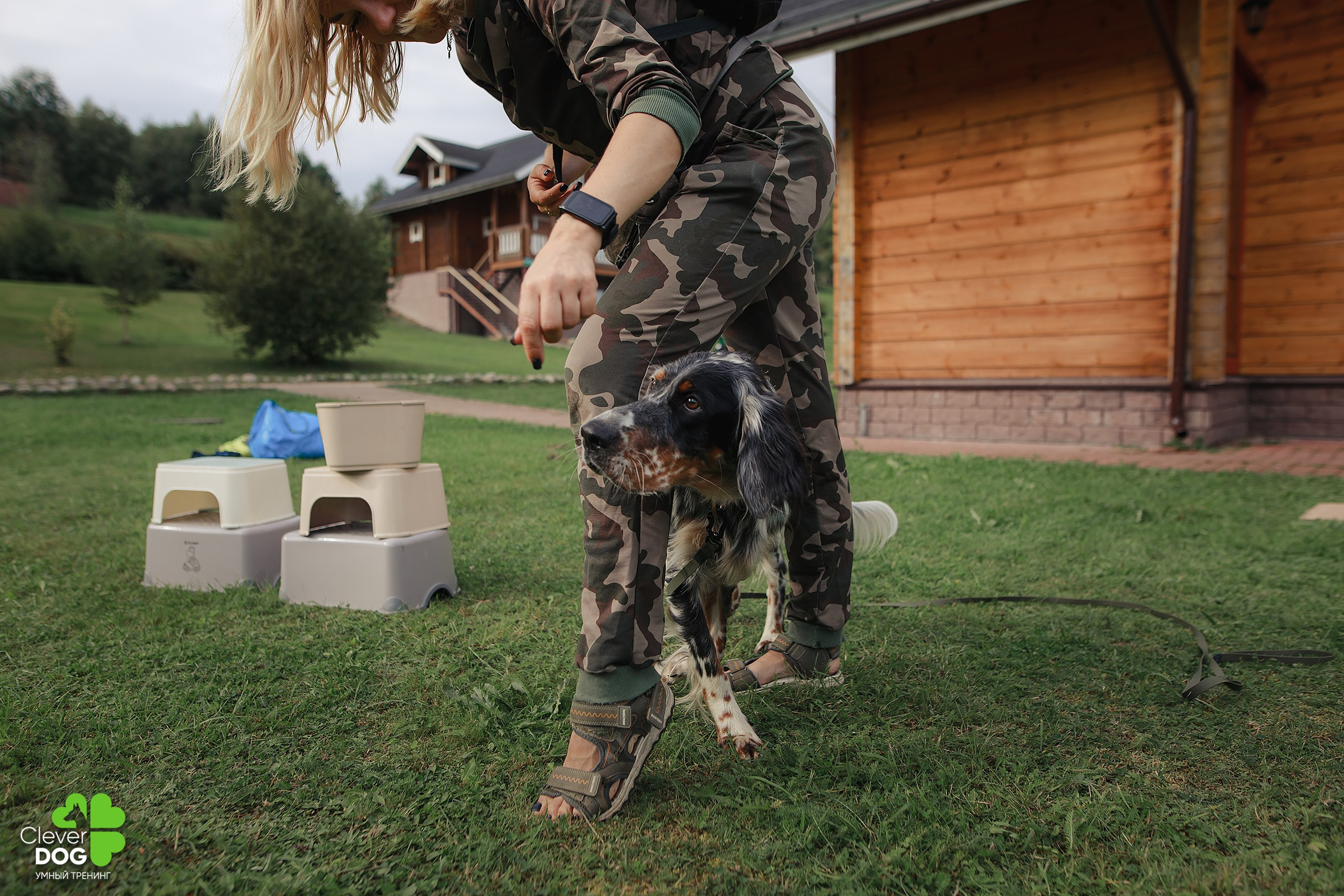 Кинологический лагерь CleverDog, 2024. Фотограф-анималист Mary Mart — Москва, Питер
