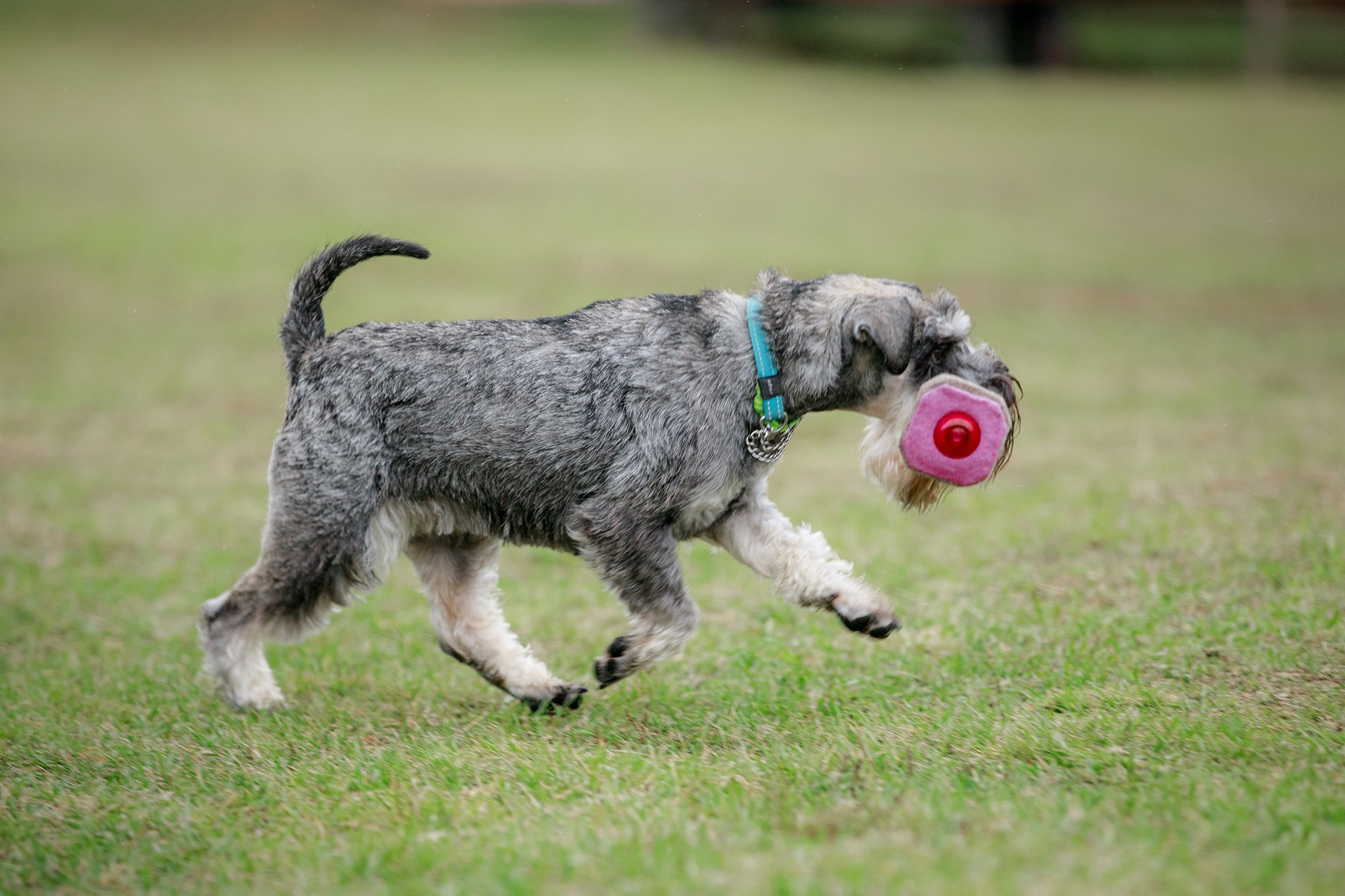 Лагерь по ОБД с Инной Баженовой. Фотограф-анималист Mary Mart — Москва, Питер