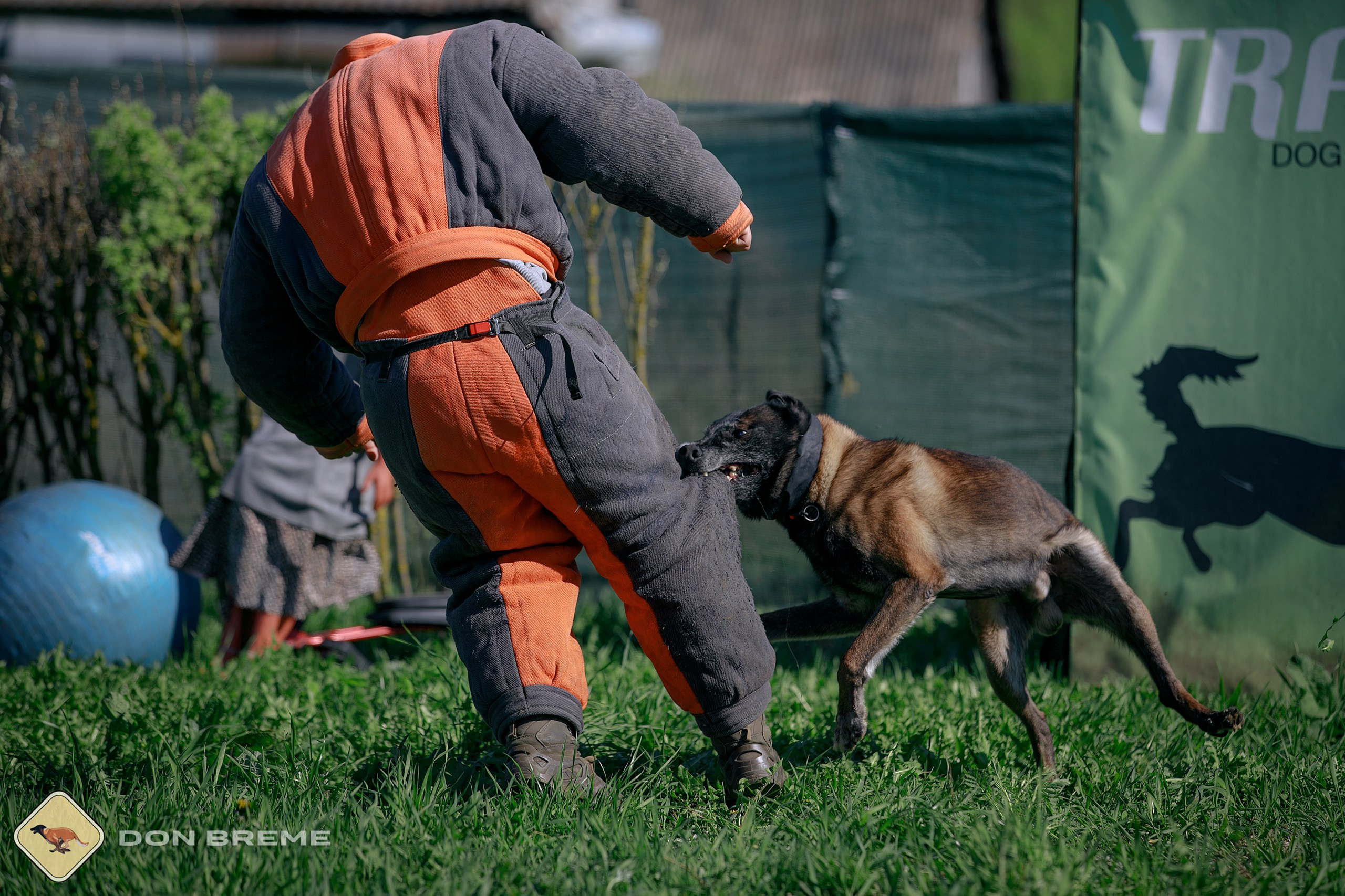 Семинар для фигурантов, день 3. Фотограф-анималист Mary Mart — Москва, Питер