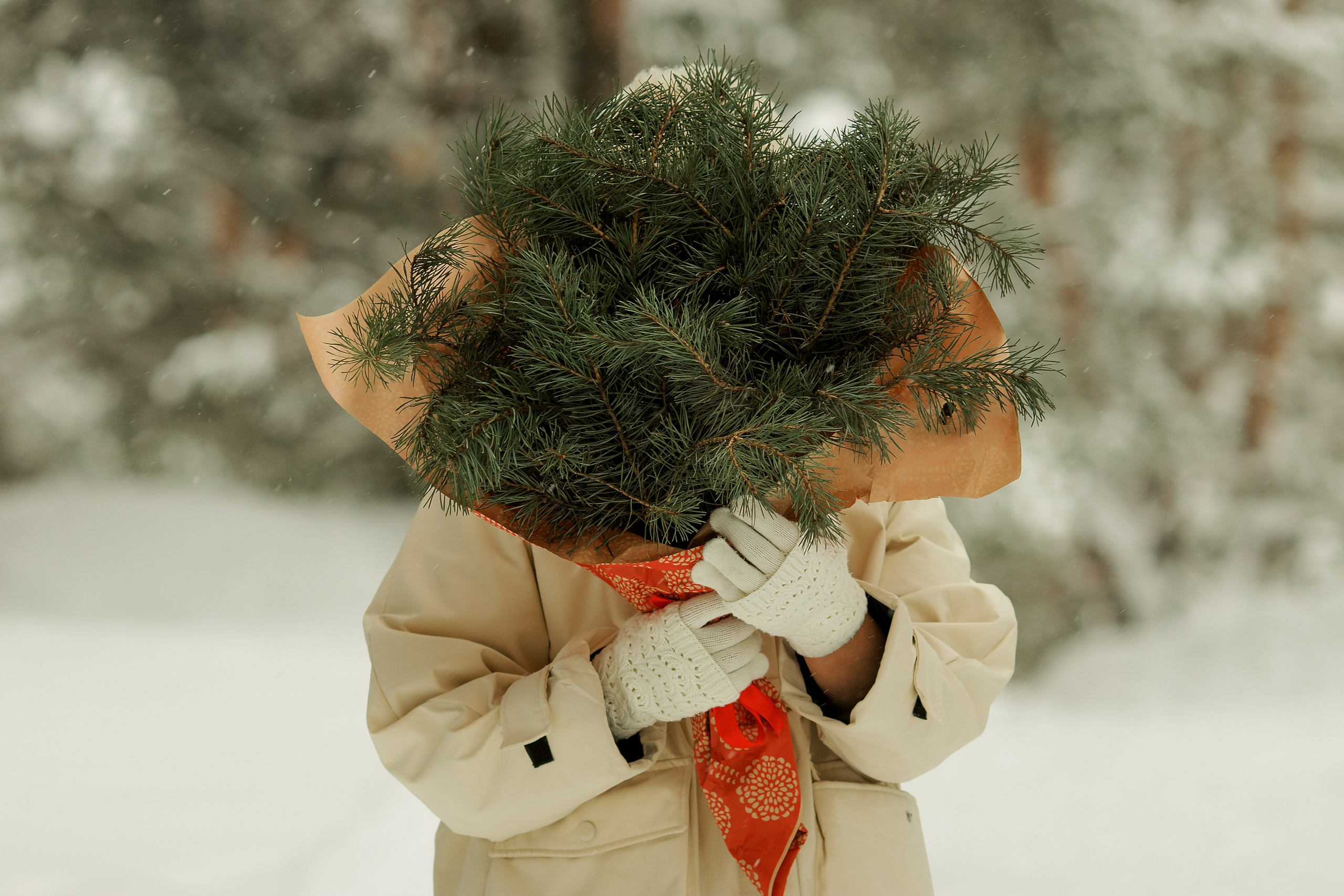 Порфолио. Семейные фотосессии. Семейный и детский фотограф в Ярославле Абрамов Артём