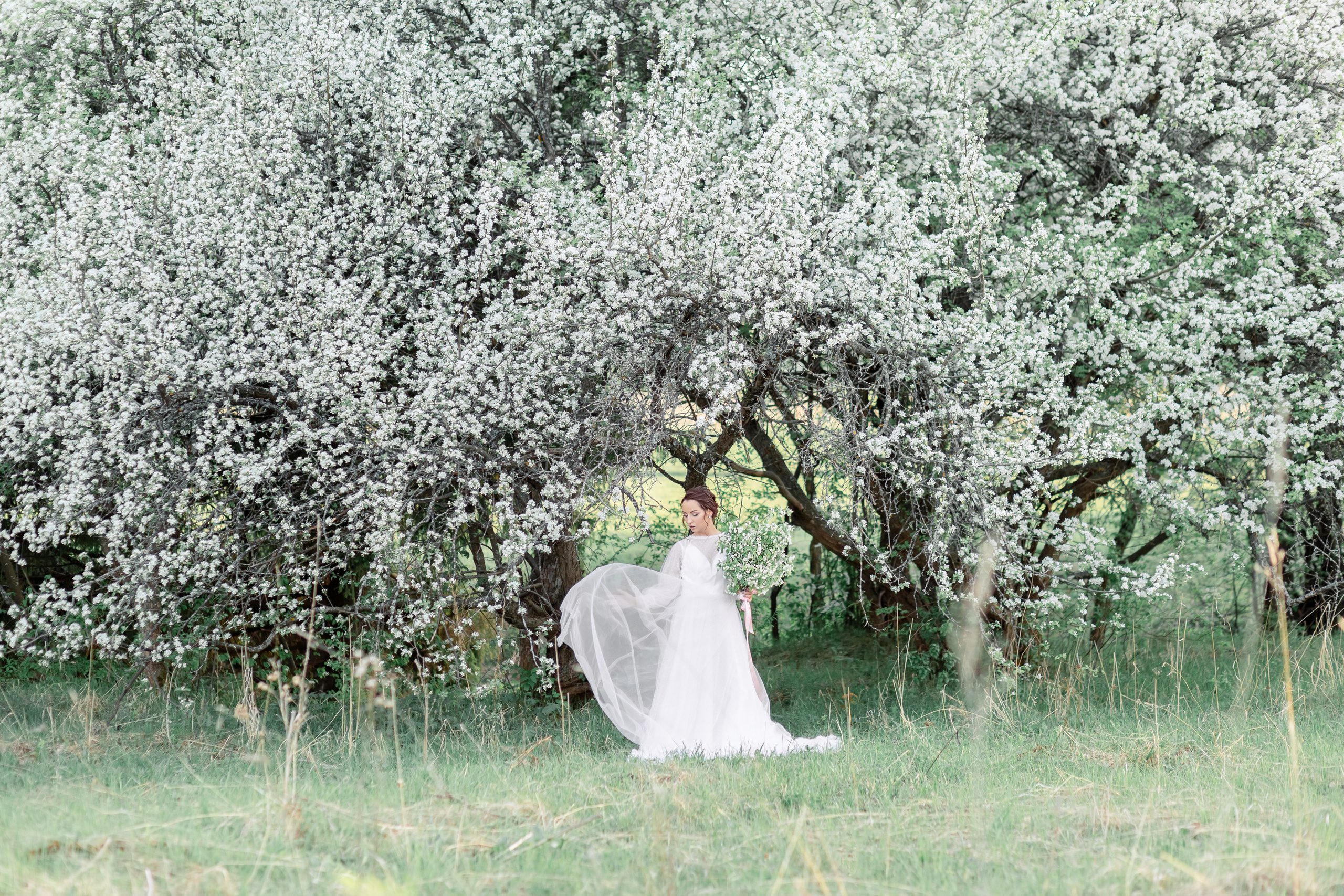 Свадебная Фотосессия Свадебный Фотограф в Ижевске. Профессиональный фотограф в Ижевске Леша Петров