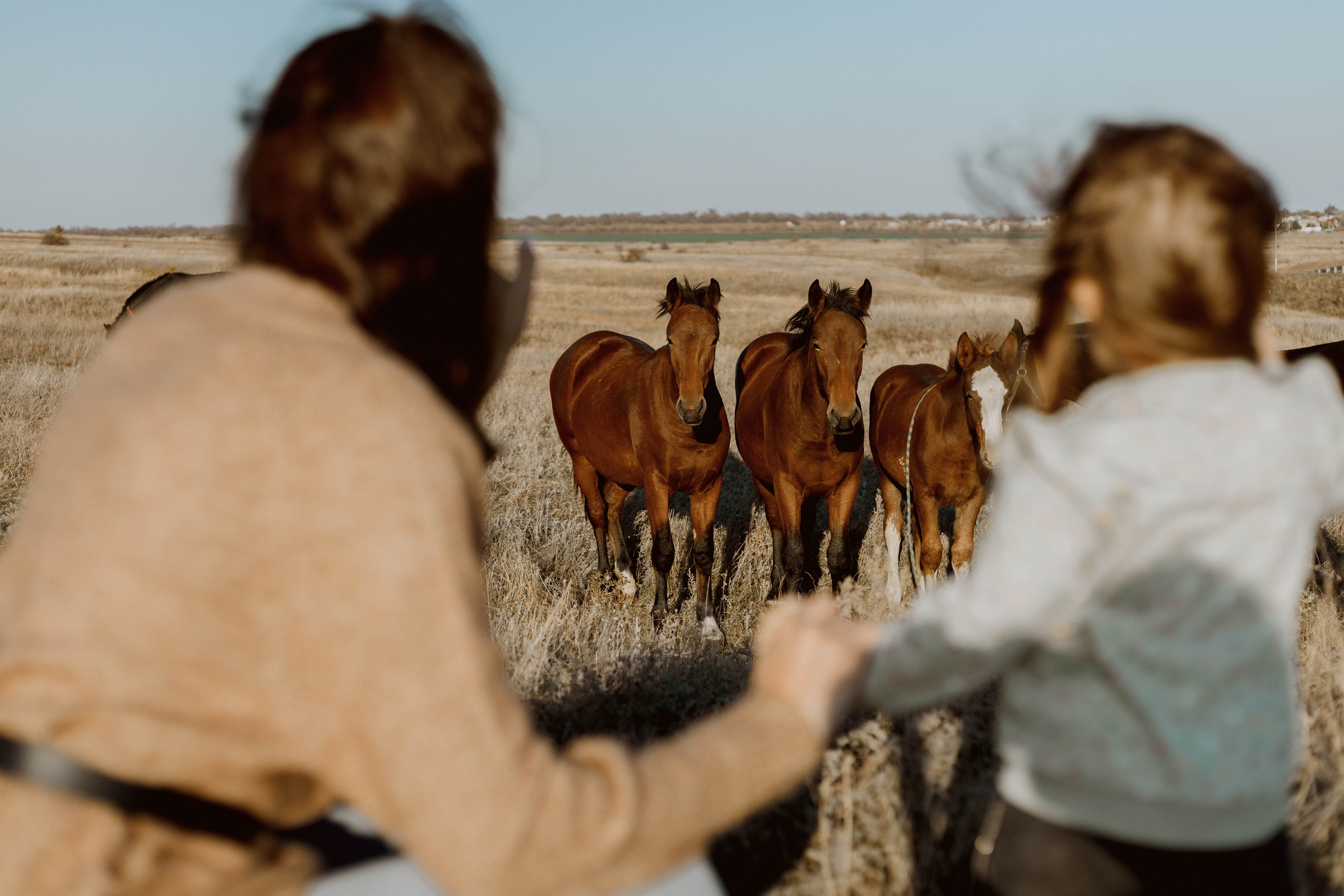 Юля и Ева с лошадьми. Семейный фотограф Наталия Демченко, Краснодар