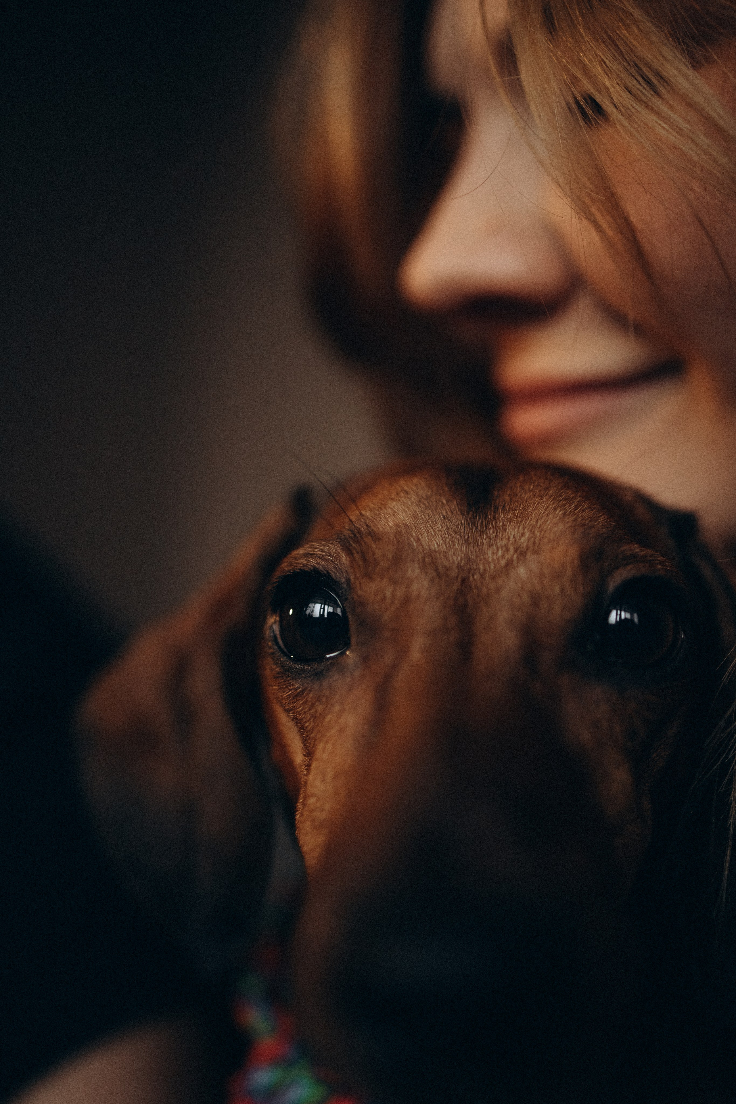 Маша и ее семья. Фотораф — анималист Мария Шистка