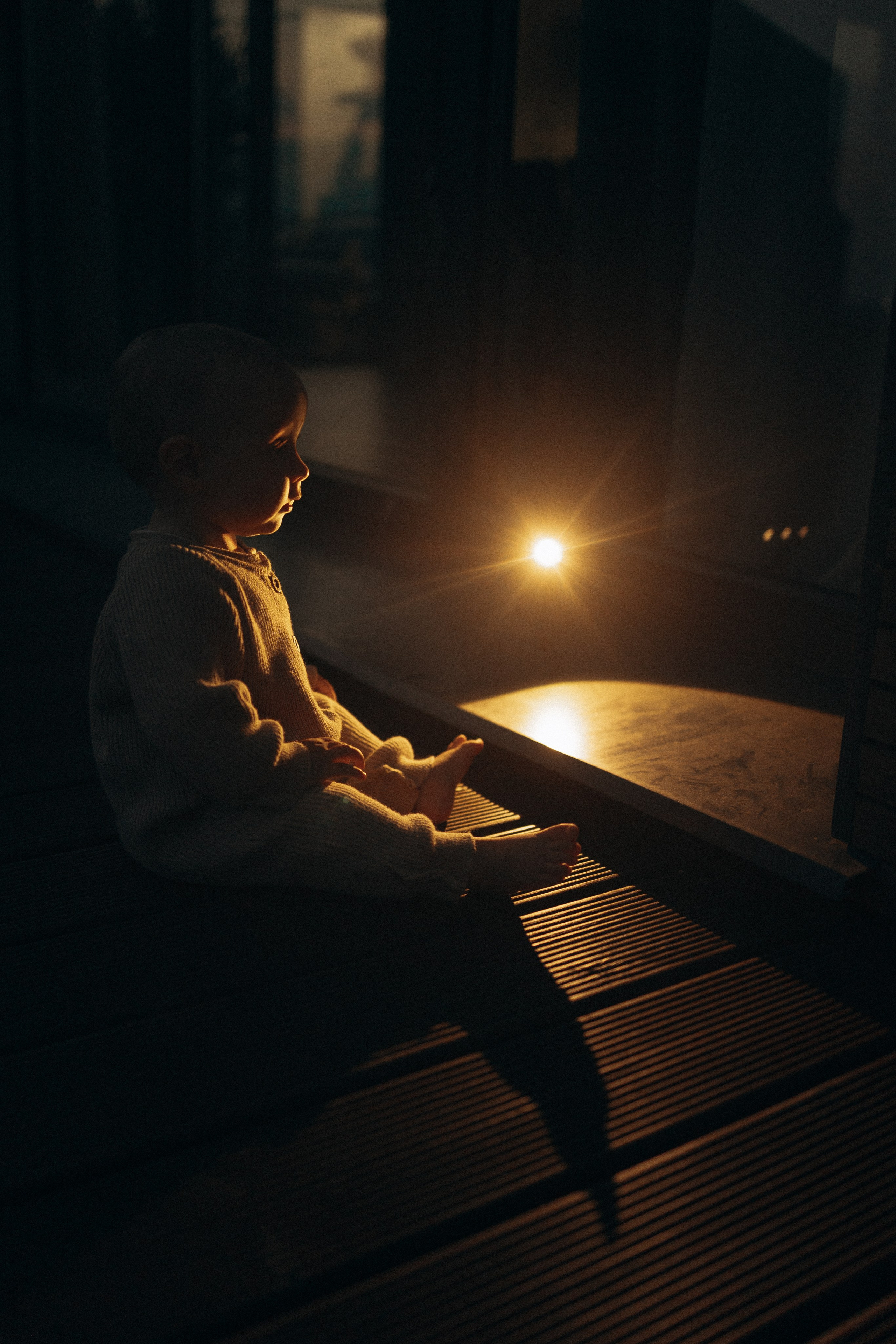 Семейная. Фотораф — анималист Мария Шистка