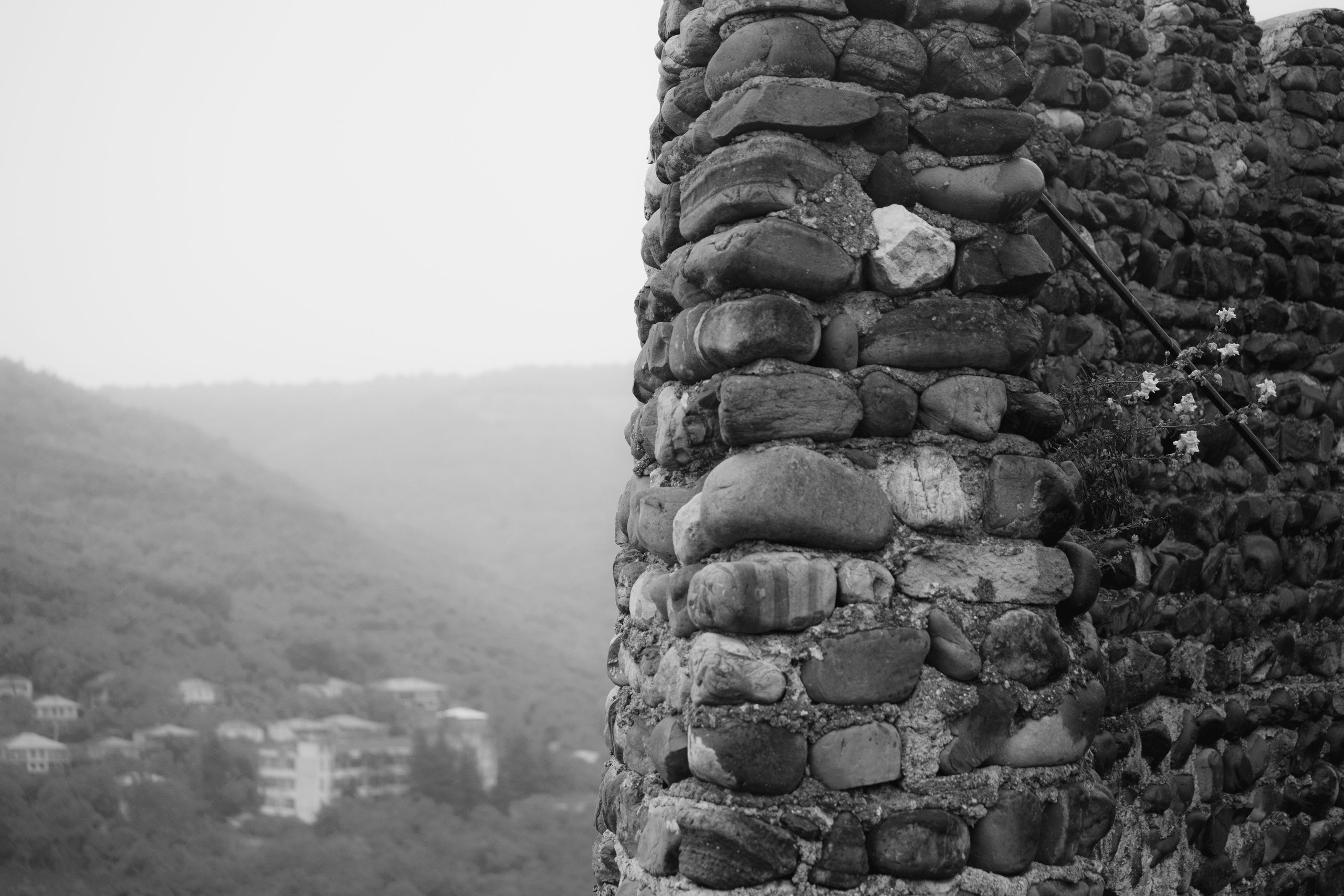 Georgia, 2024. Воройская Анна