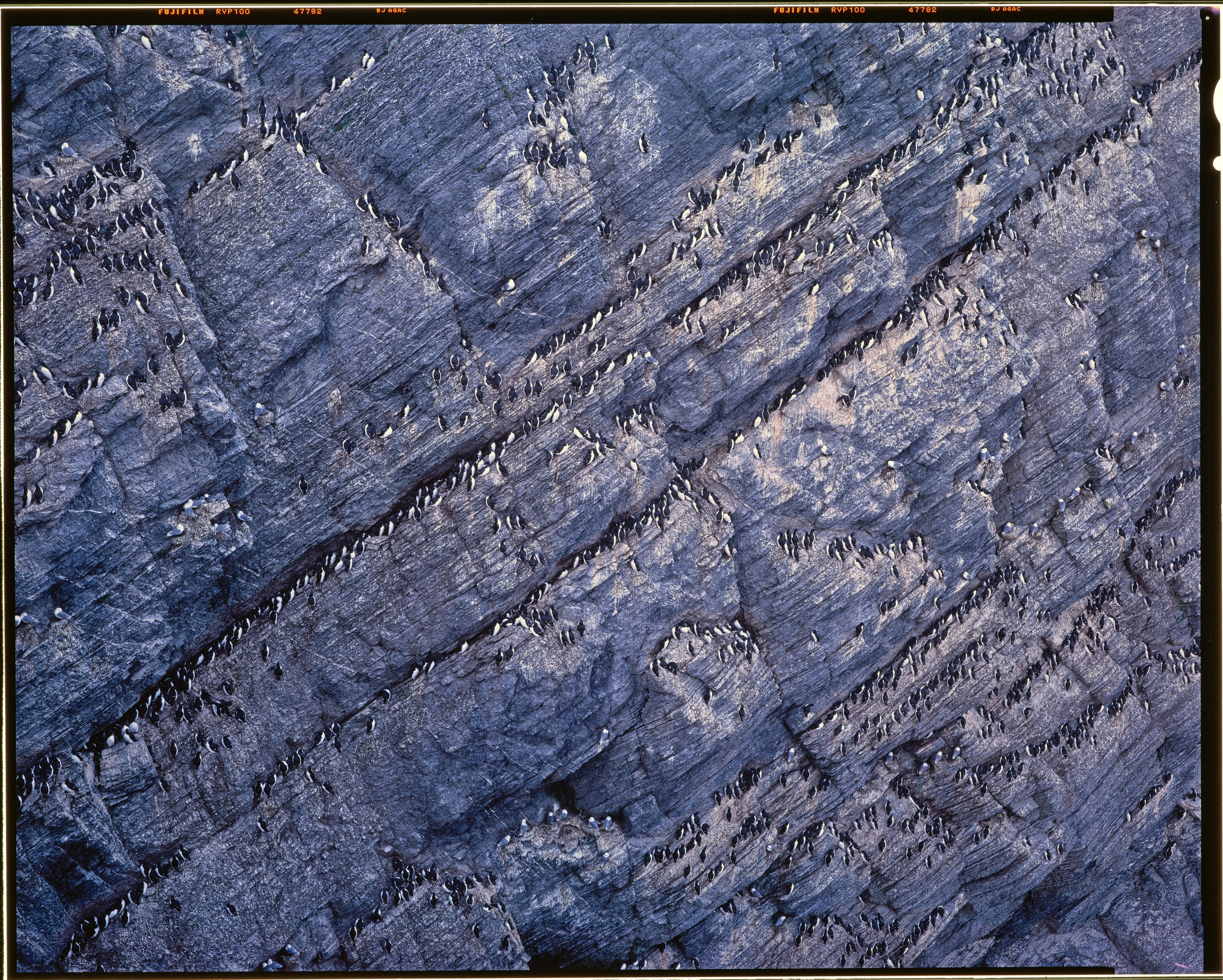 Полевая фотосъёмка форматными камерами. Multica. Мастерская камер большого формата