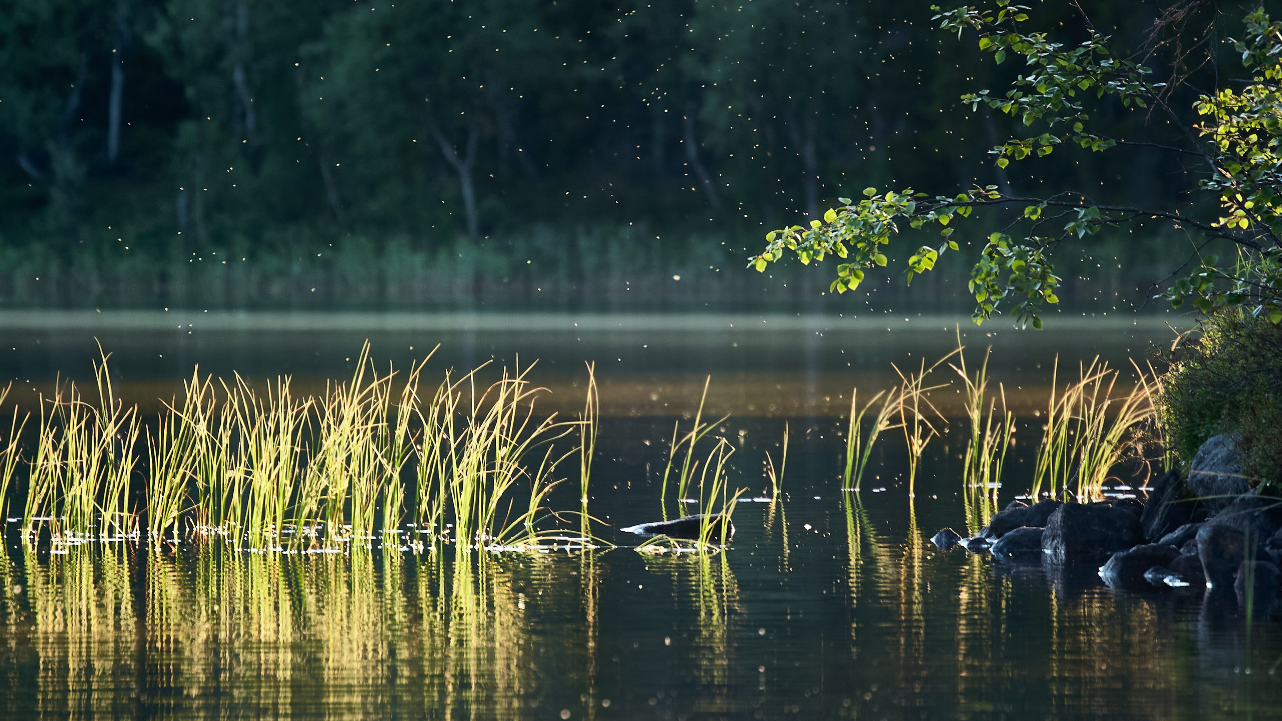 Водоемы. Пейзажи Крайнего Севера. Баренцево море, Рыбачий, Средний, Немецкий